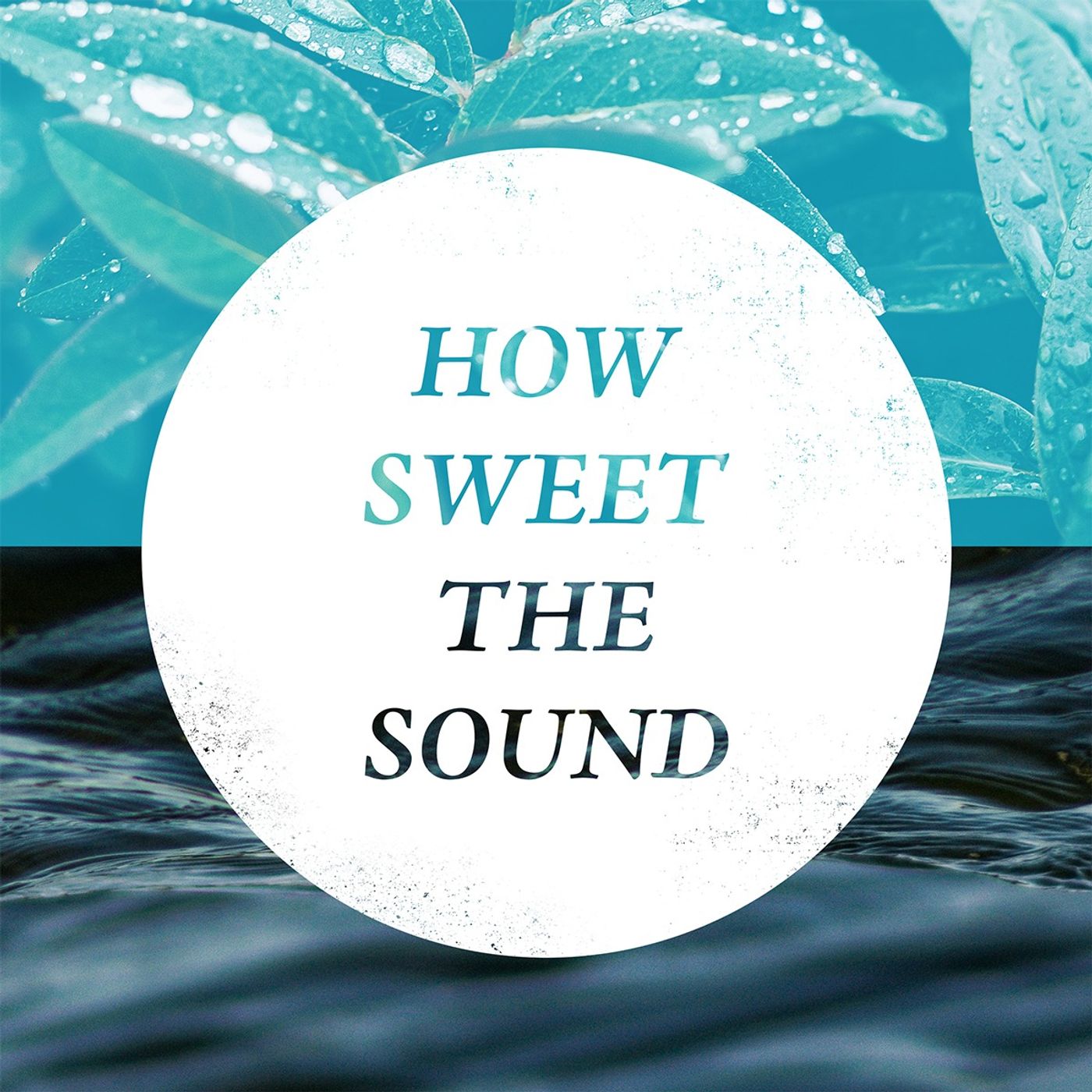 How Sweet The Sound - Rescued by Grace - April 2025 // Scott Landry