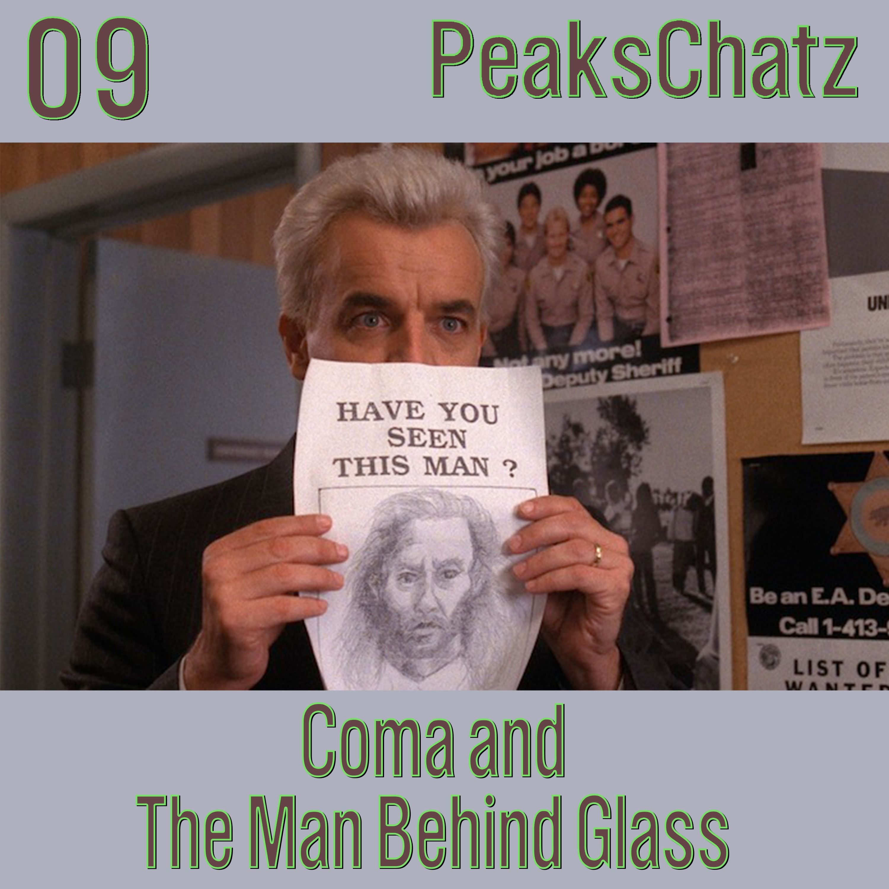 Twin Peaks 2.02 