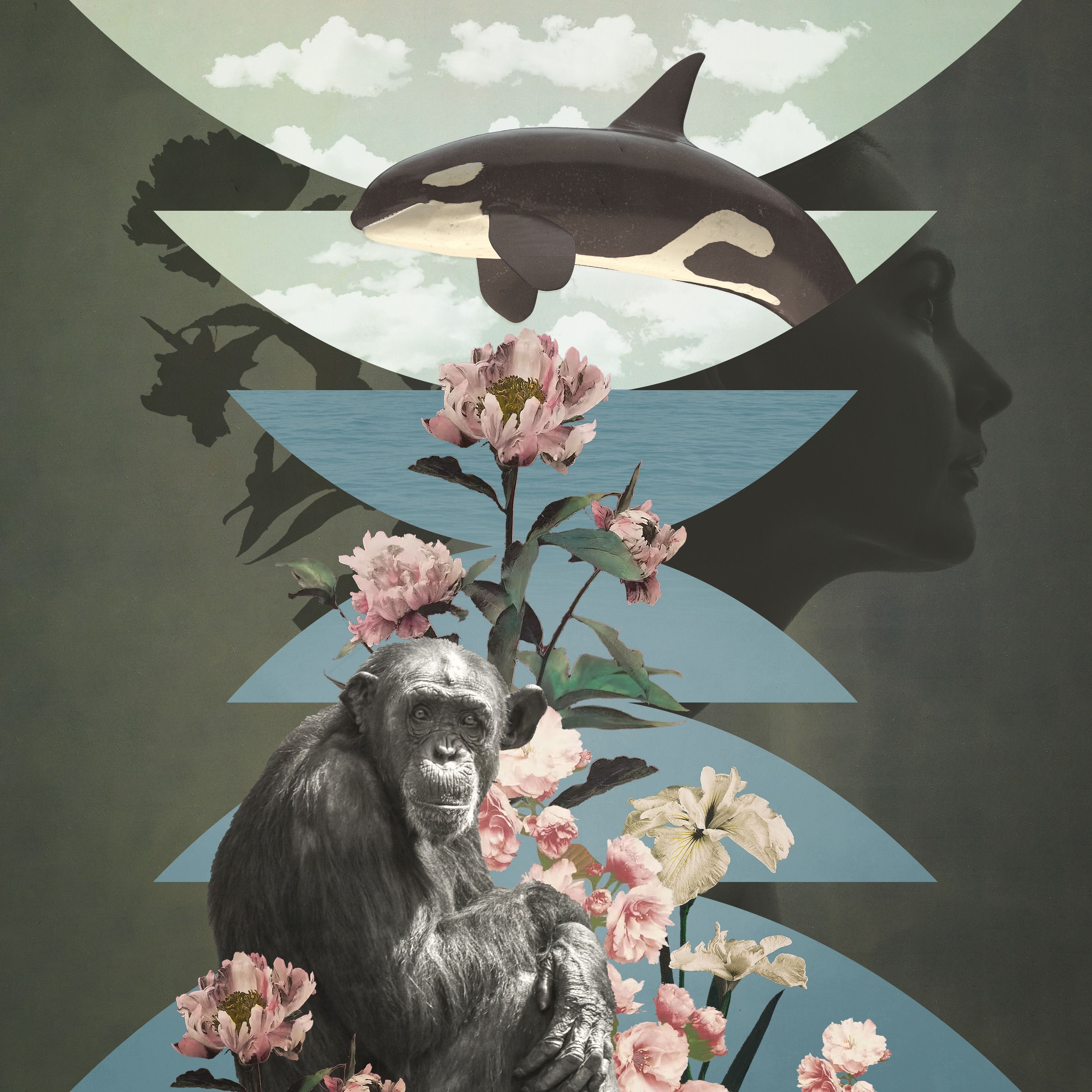 Radiolab