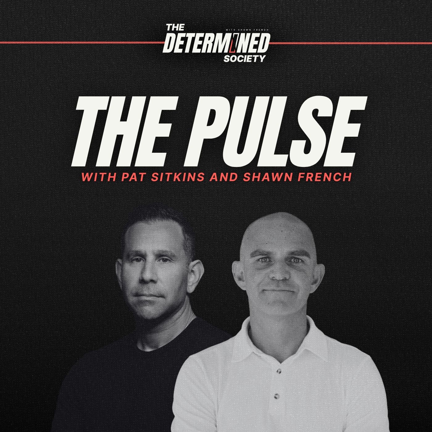 The Pulse | Cultural Perspectives on Success