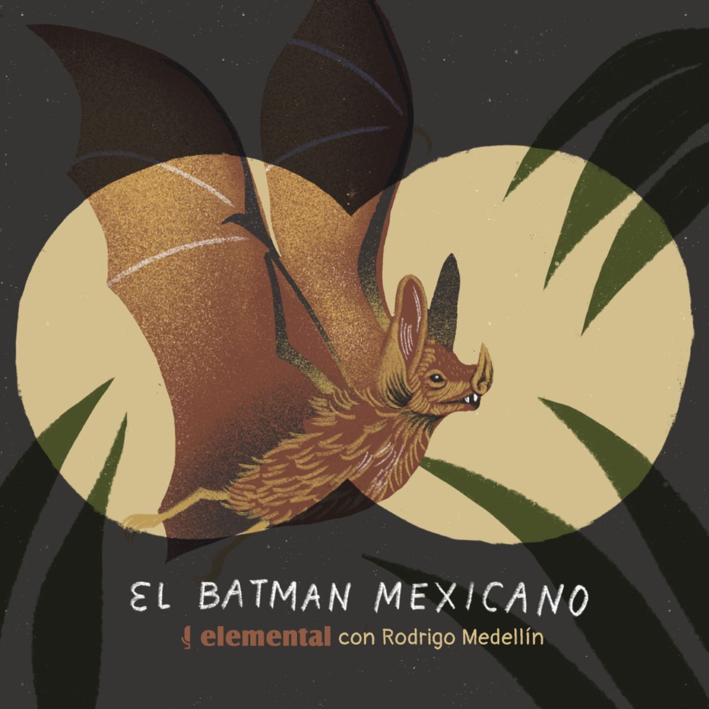 El batman mexicano