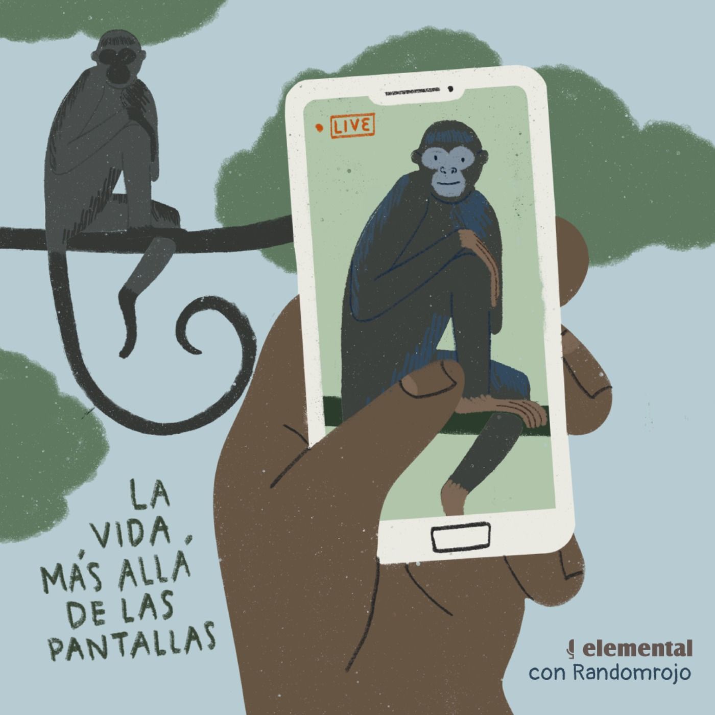 La vida más allá de las pantallas