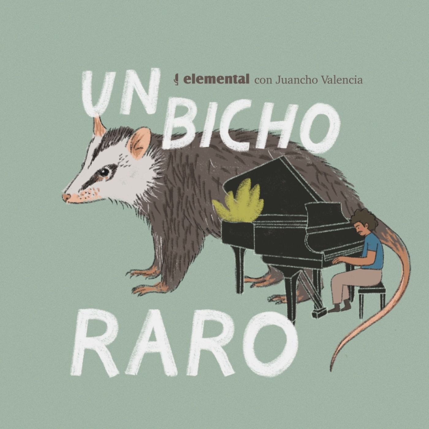 Un bicho raro