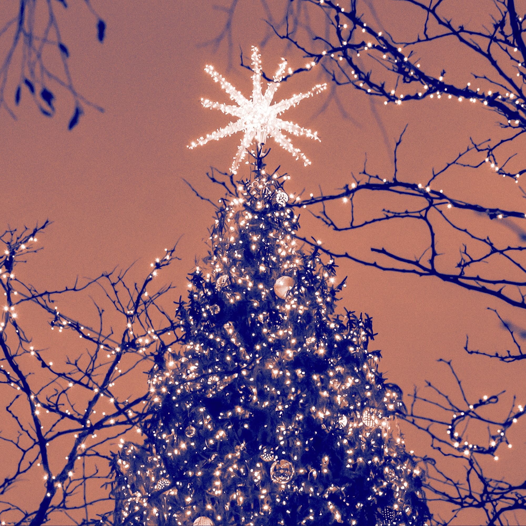 ‘A Hard Time We Had of It’