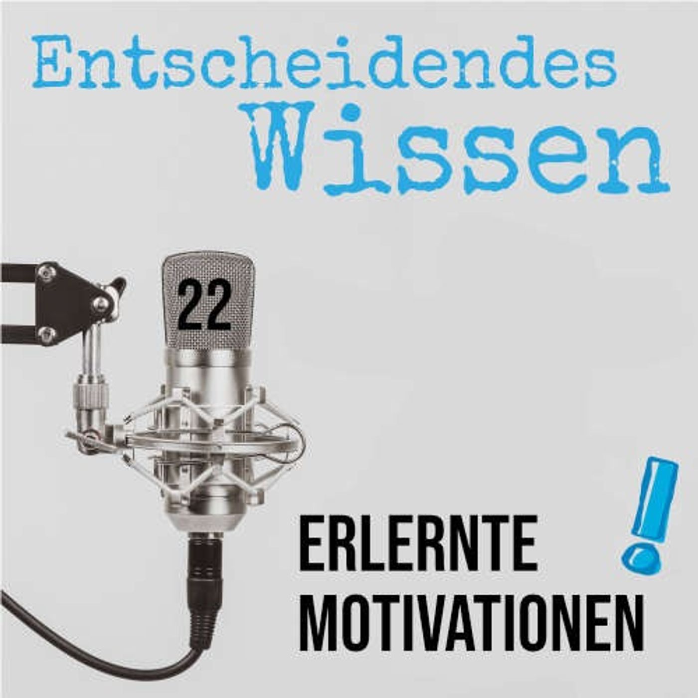 Erlernte Motivationen Erlernte Motivationen
