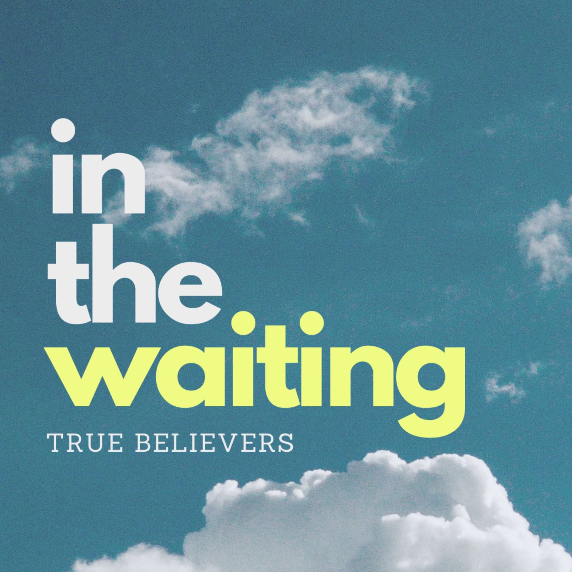 In the Waiting: True Believers