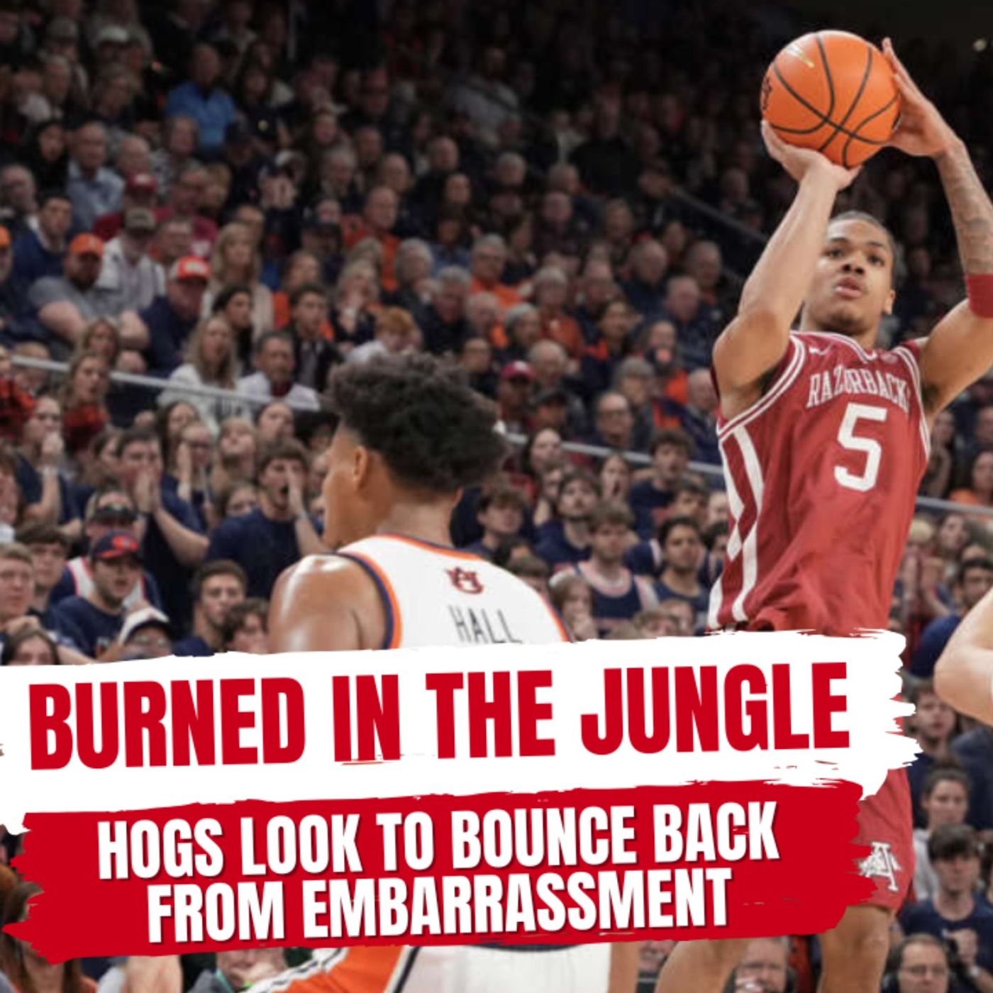 Hogs Burned in the Jungle, Look to Bounce Back at Home