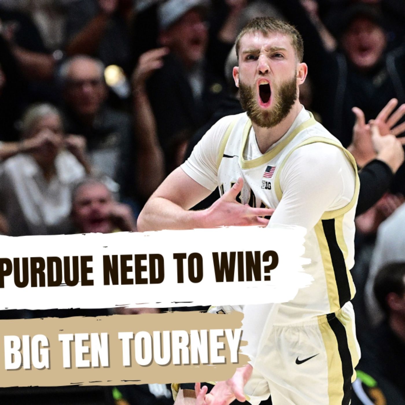 Season Recap and B10 Tourney Preview | Was Purdue's season disappointing?