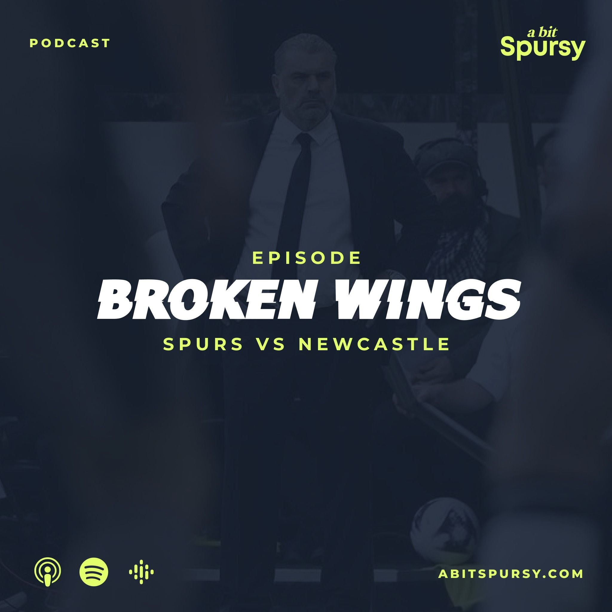Broken Wings