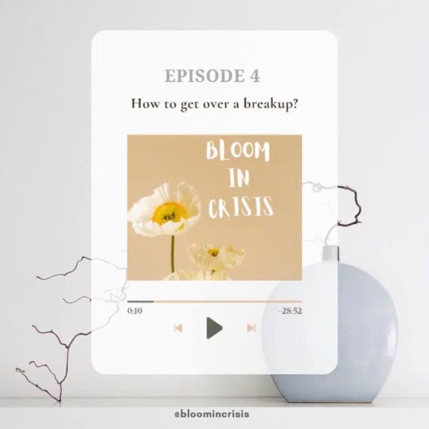 Bloom in Crisis