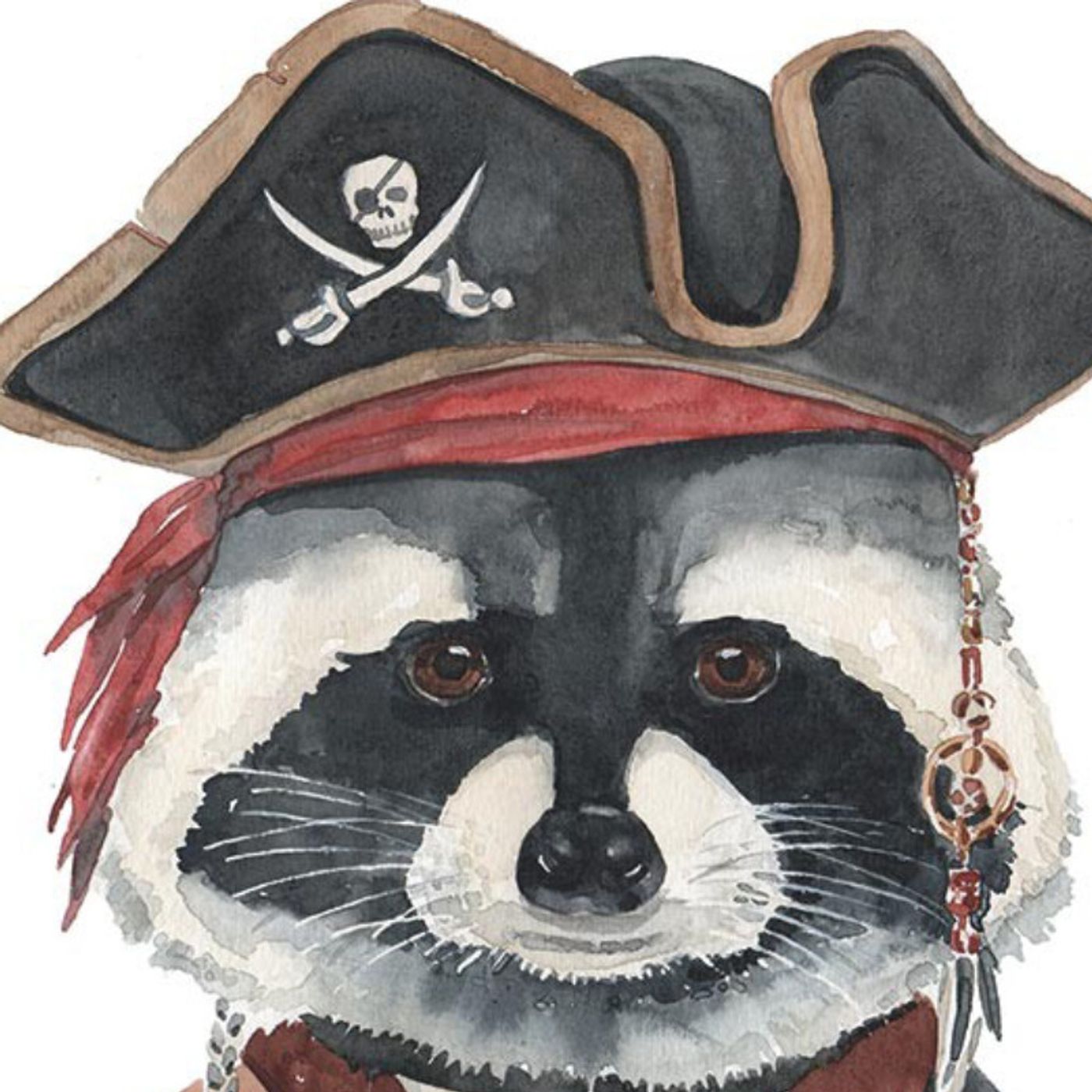 Raccoon Sky Pirates