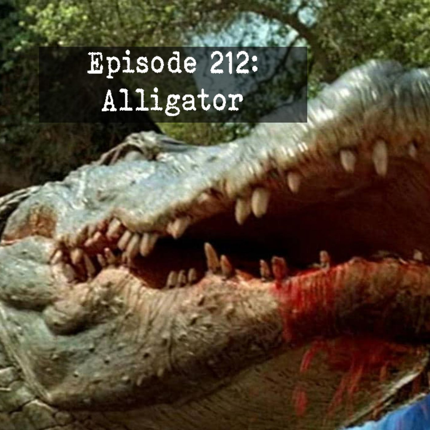 Episode 212: Alligator