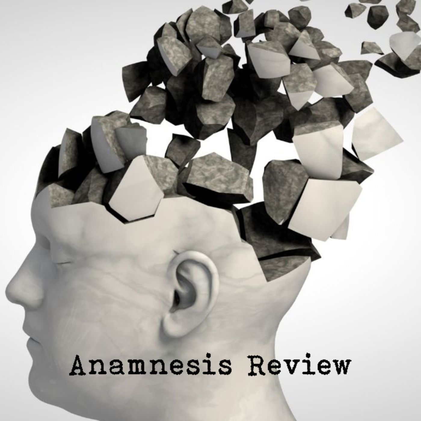 Anamnesis Review