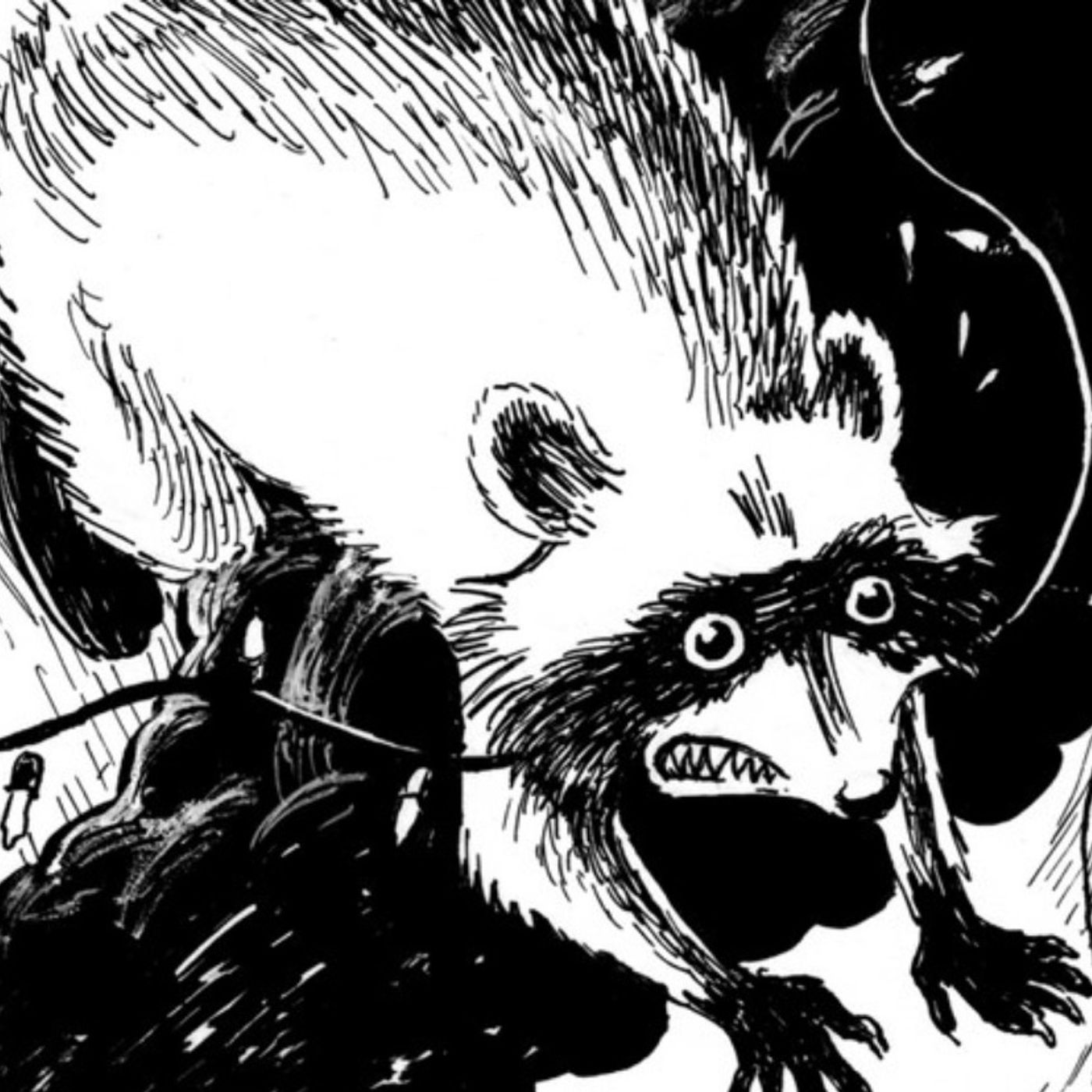 Interview with Chris Sellers on Raccoon Sky Pirates