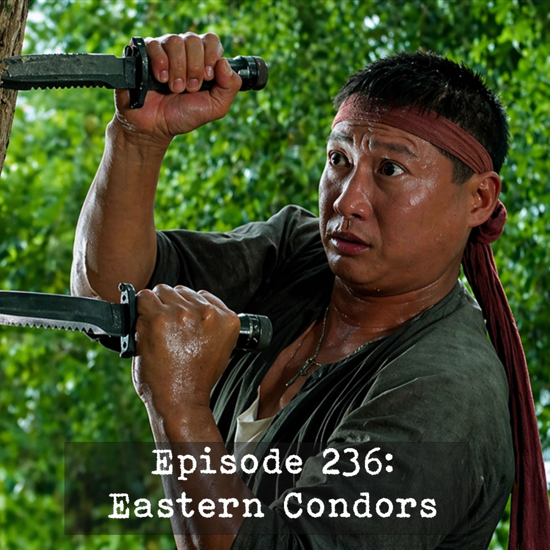 Episode 236: Eastern Condors episode artwork