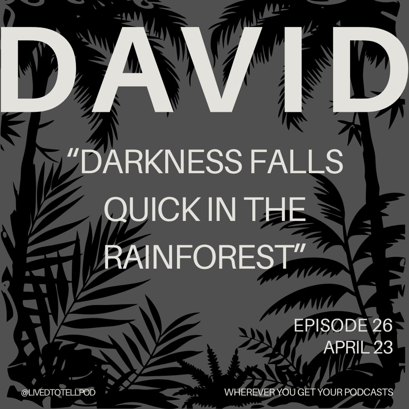 S1 Ep26: David Part One - "Darkness Falls Quick in the Rainforest”