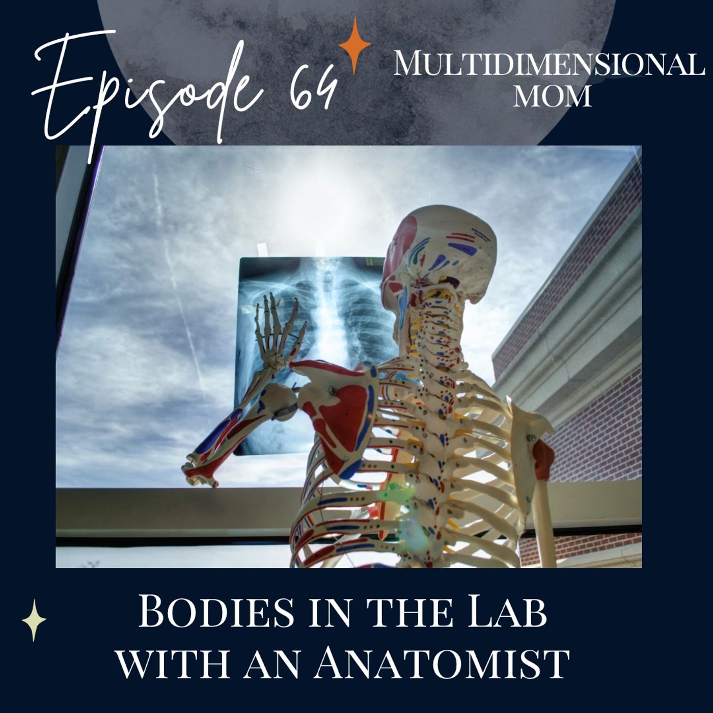 Bodies in the Lab with an Anatomist