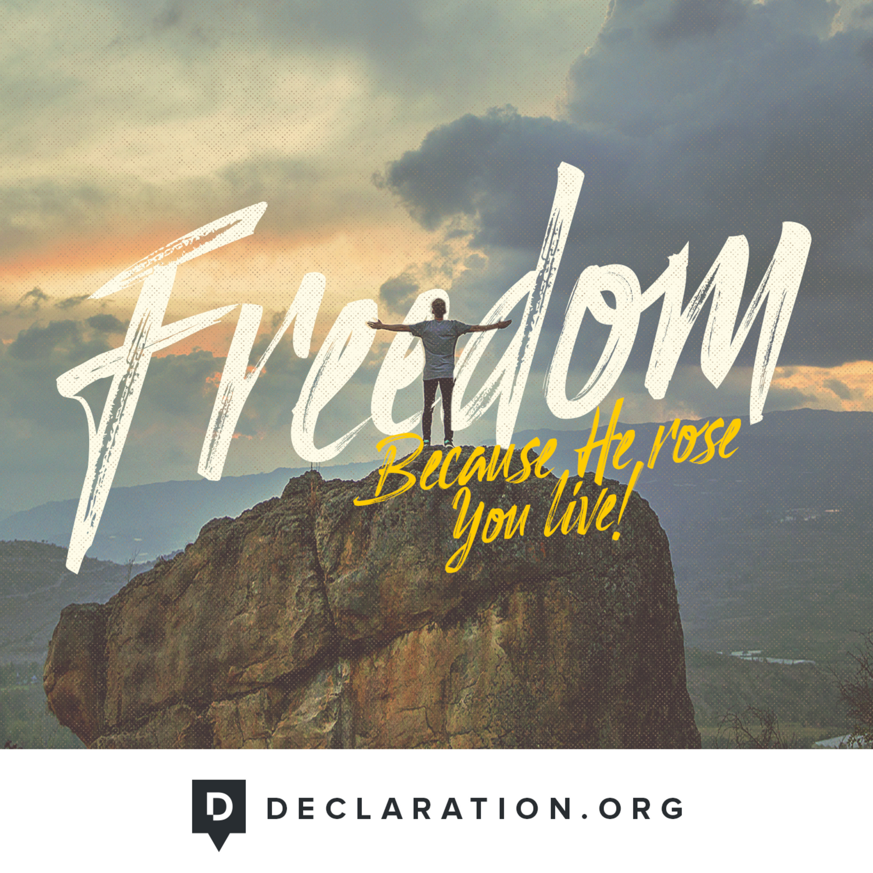 For Freedom!