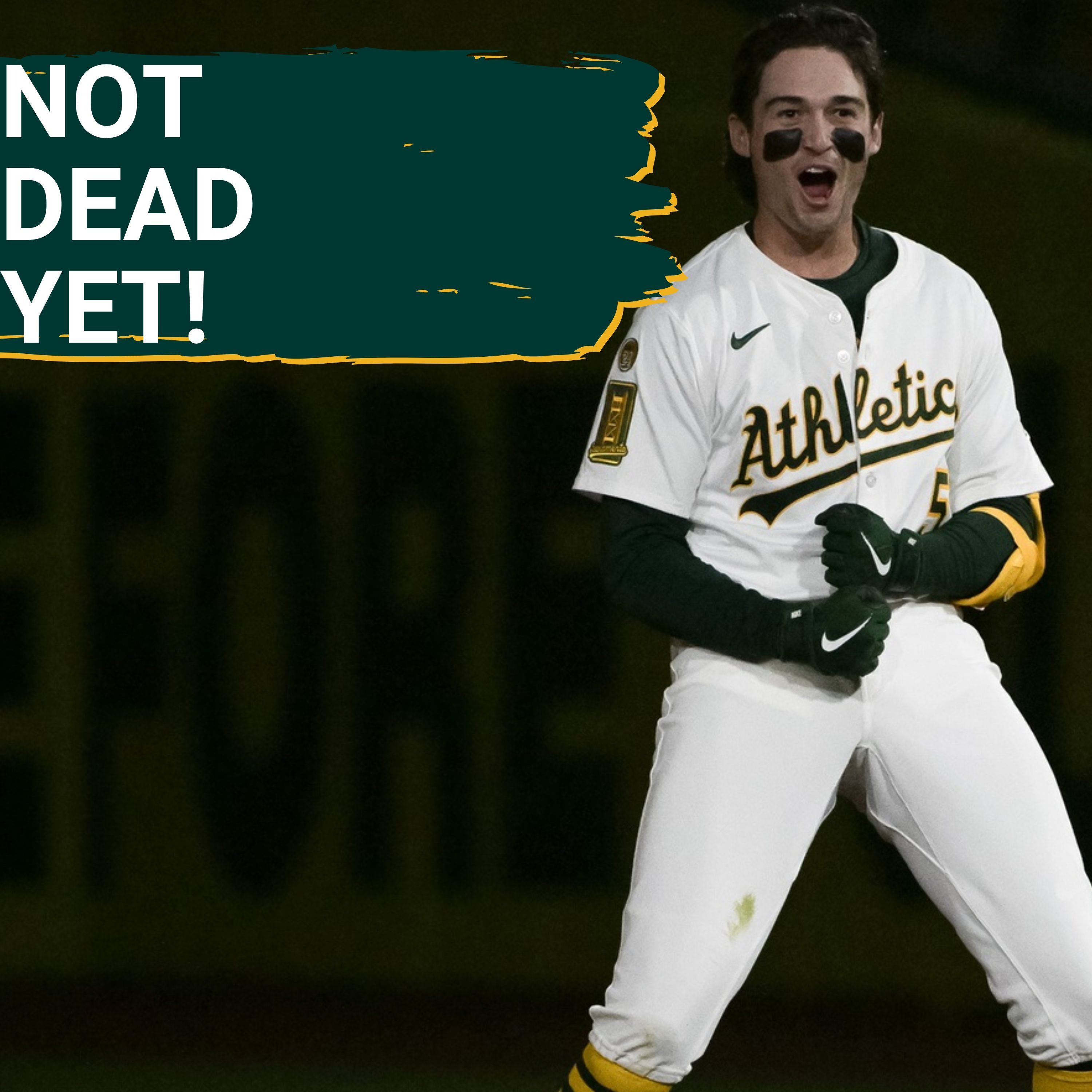 NOT DEAD YET: Why Tonight’s Game Is the Most Important of the Homestand