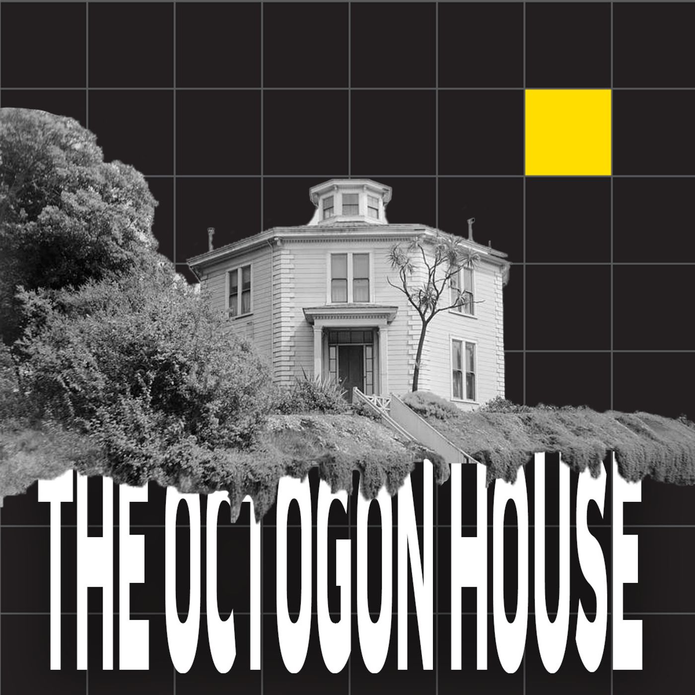 The Octagon House