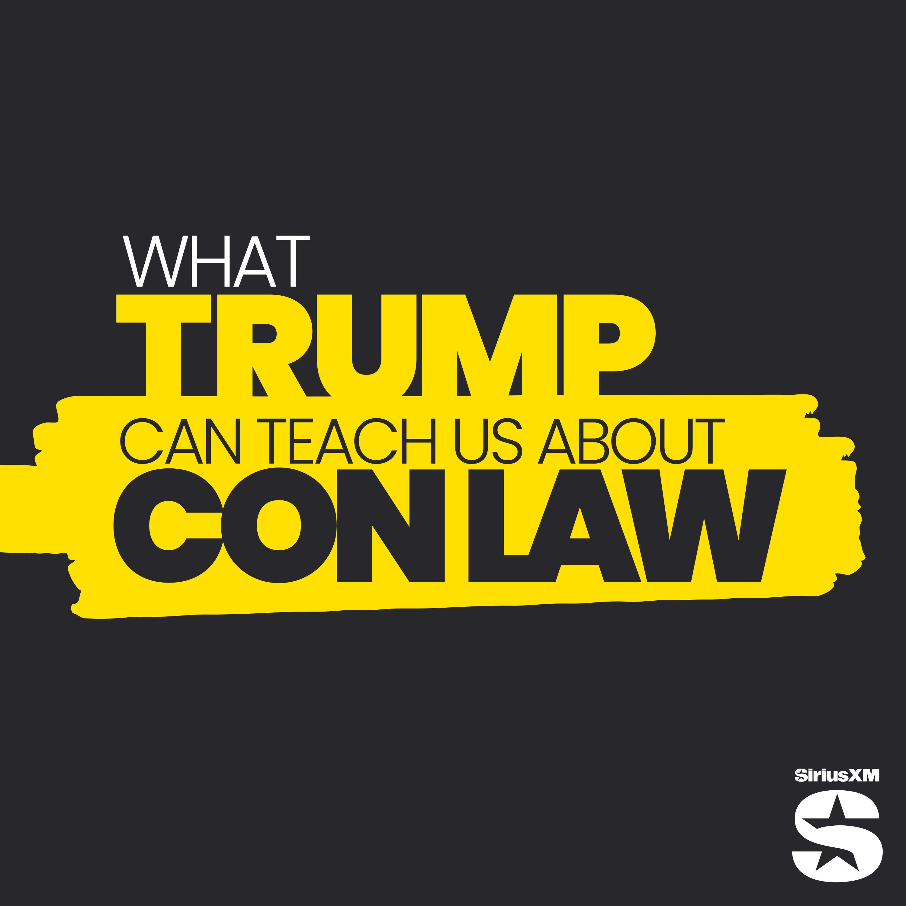 Deepfakes and Lying Liars — What Trump Can Teach Us About Con Law cover