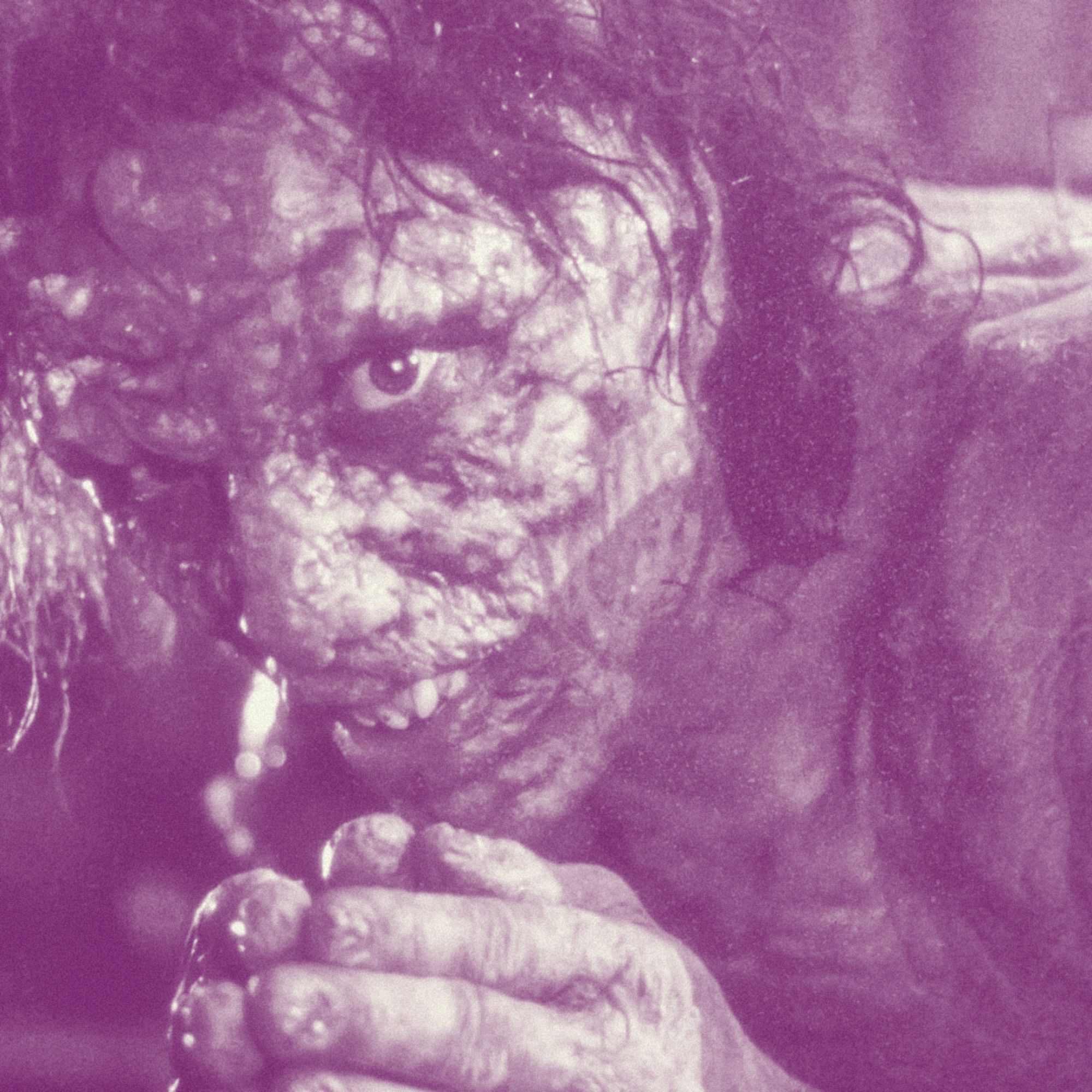 THE FLY: Be Afraid. Be Very Afraid. | David Cronenberg: The New Flesh episode artwork