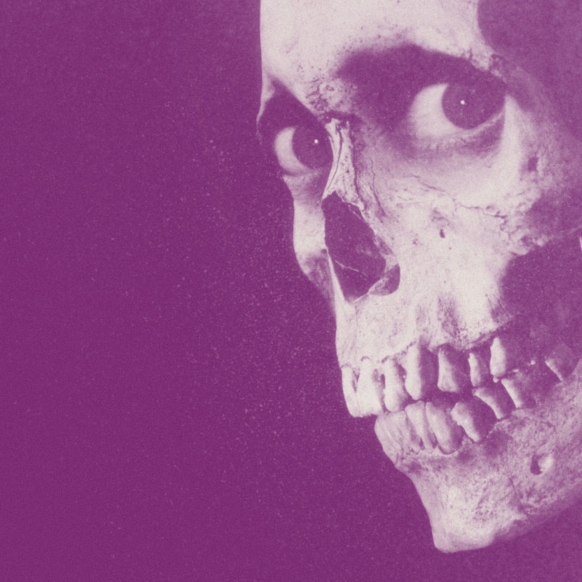 EVIL DEAD 2: Bruce Campbell’s Horror-Comedy Triumph | Sam Raimi: The Entertainer episode artwork