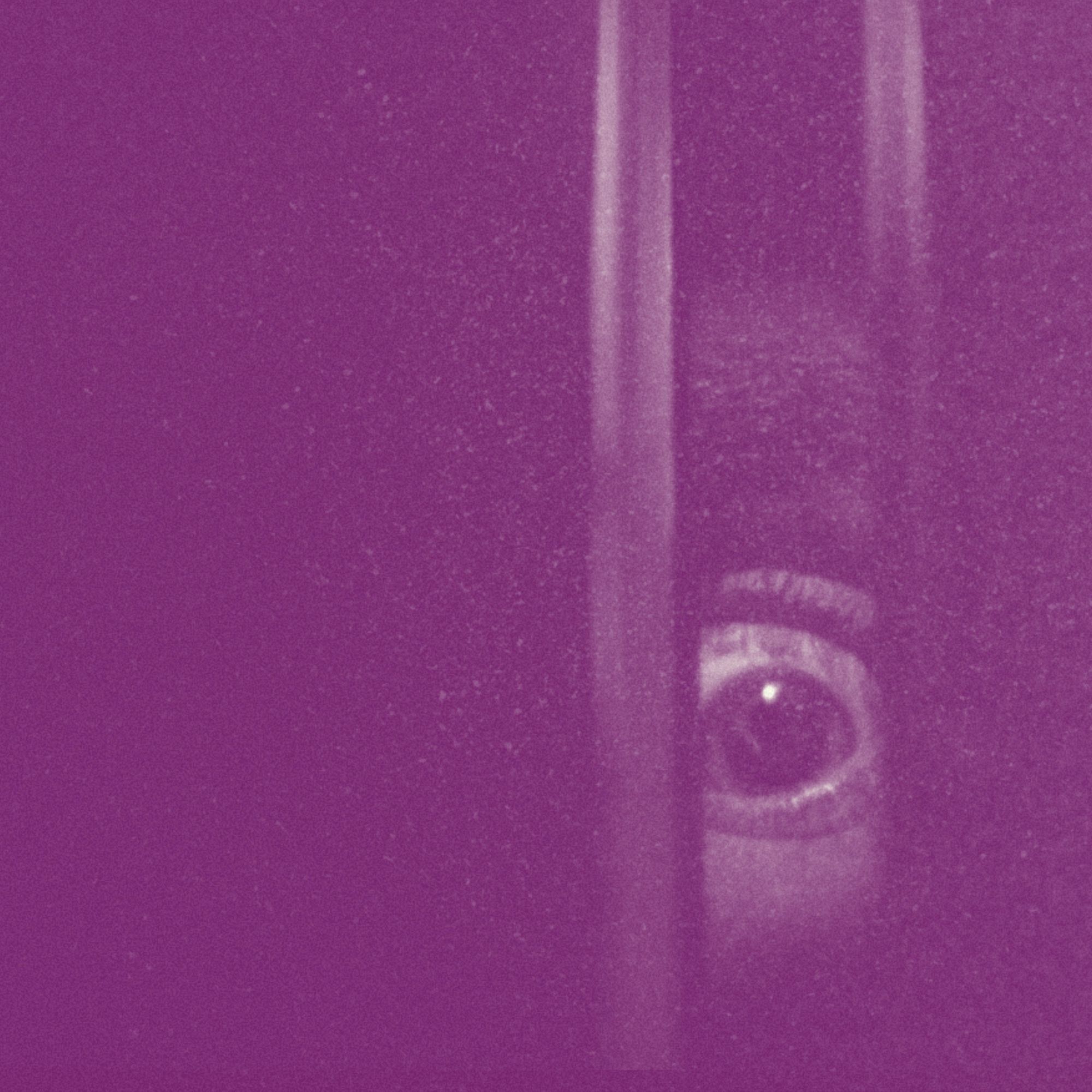 BLACK CHRISTMAS (1974): Bob Clark’s Holiday Masterpiece