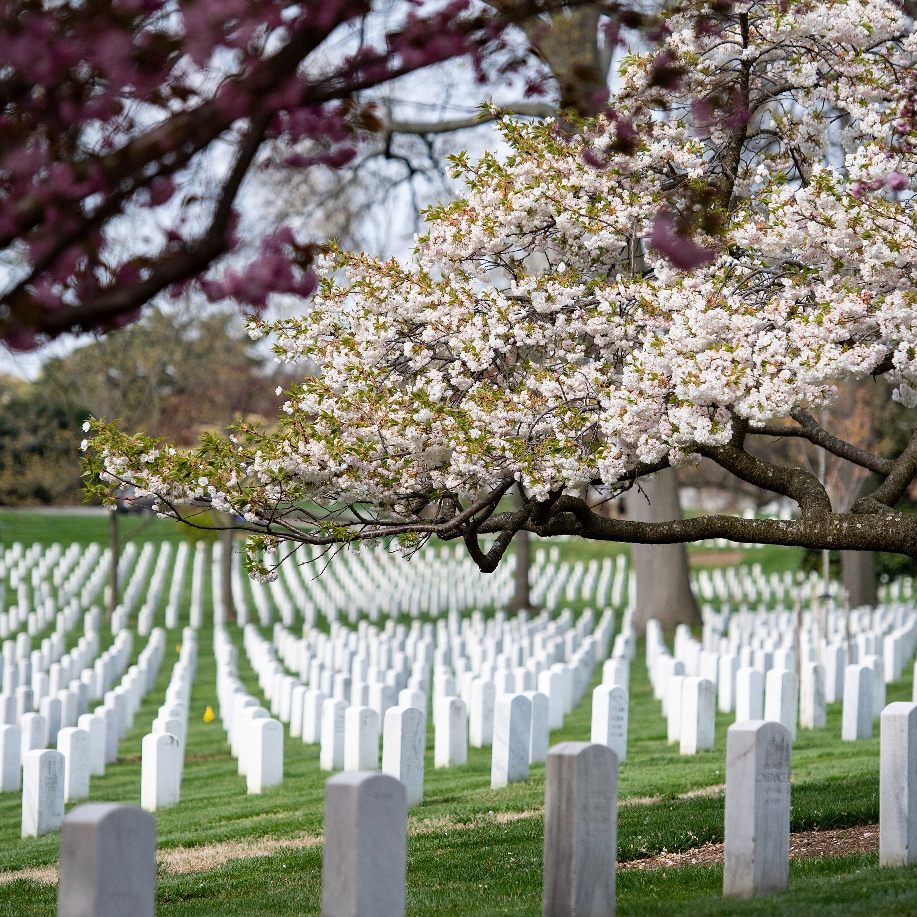 Memorial Day; Life Advice; Susan Page; Moral Injuries; The Mets