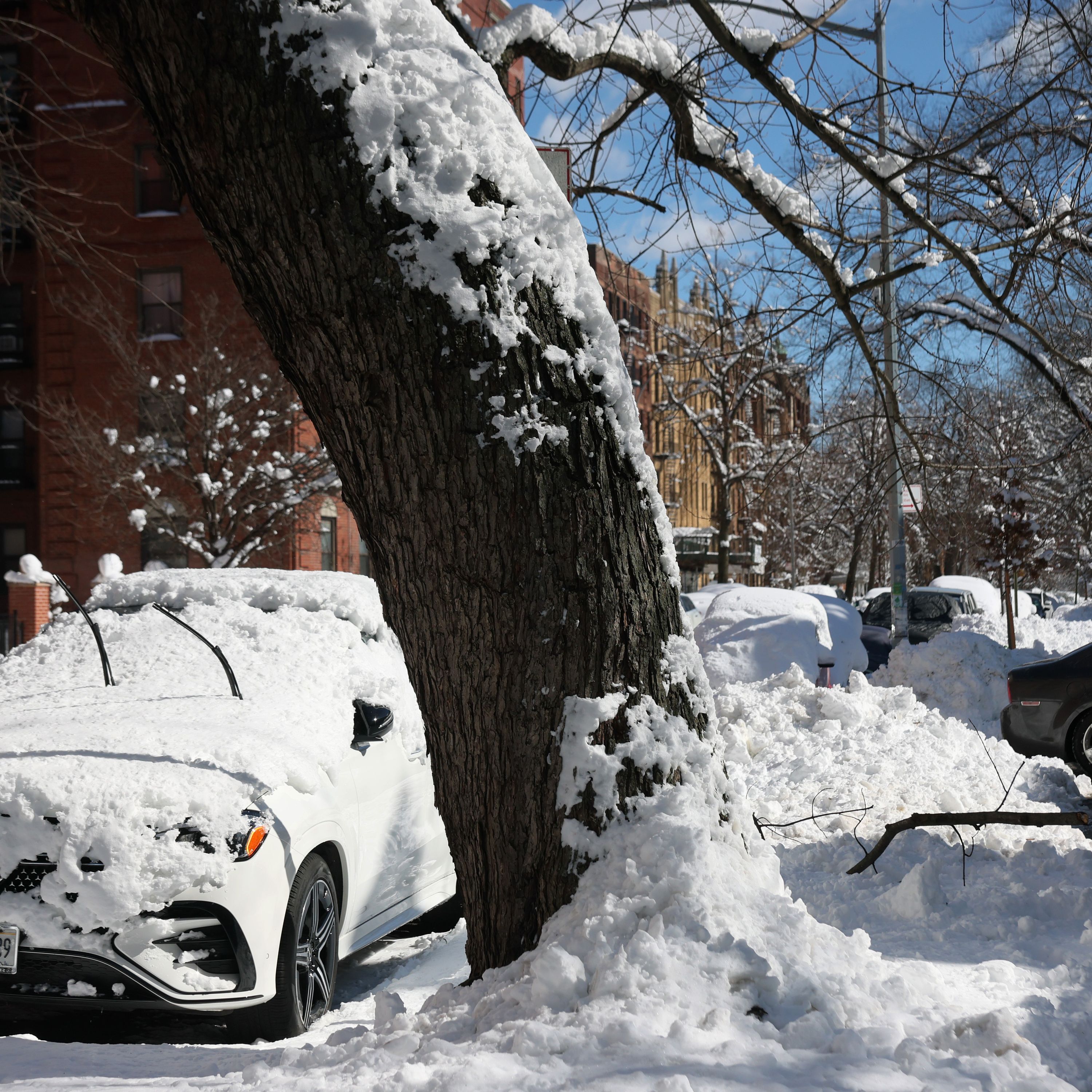 The Day After the 2026 Blizzard