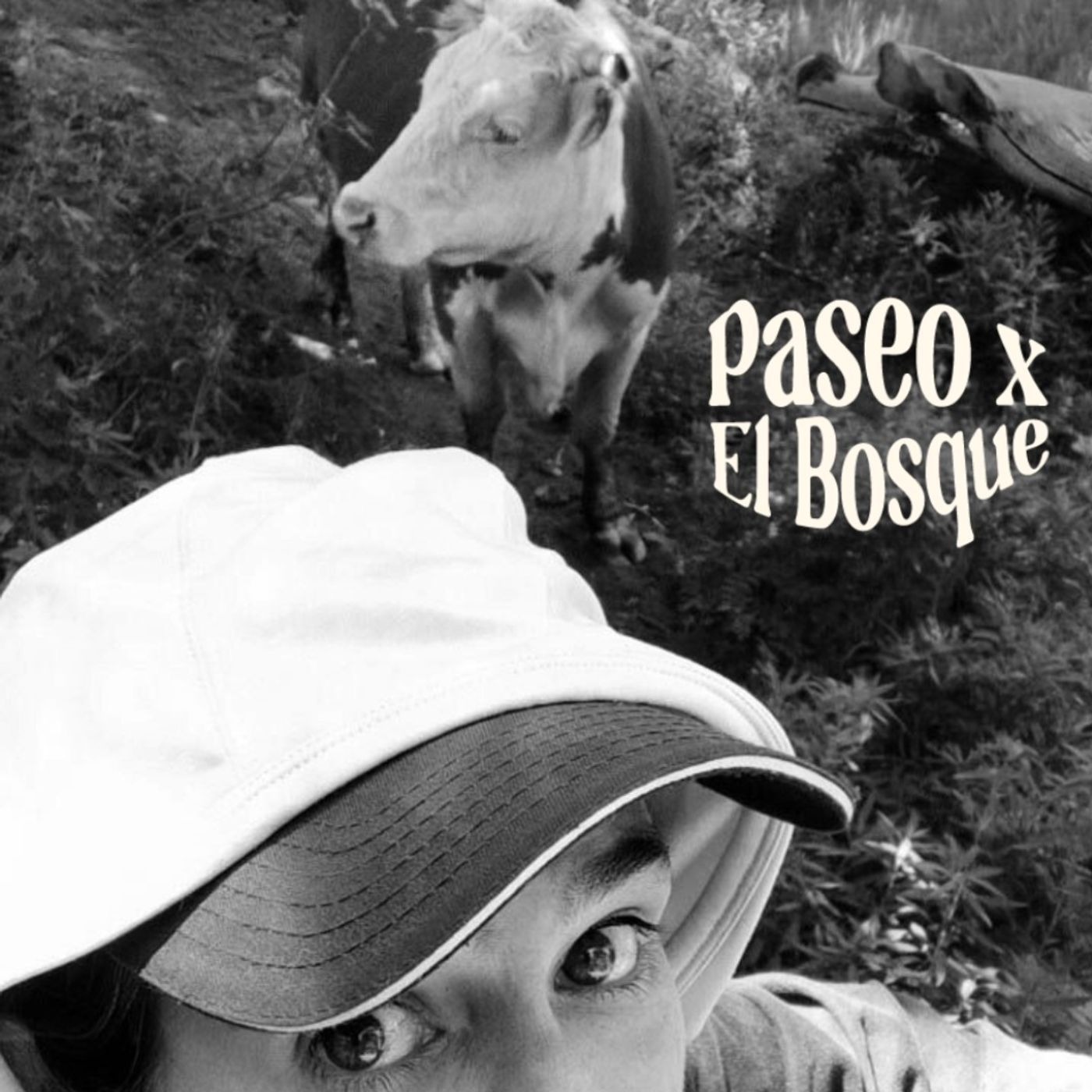 "Lo que calla el silencio"