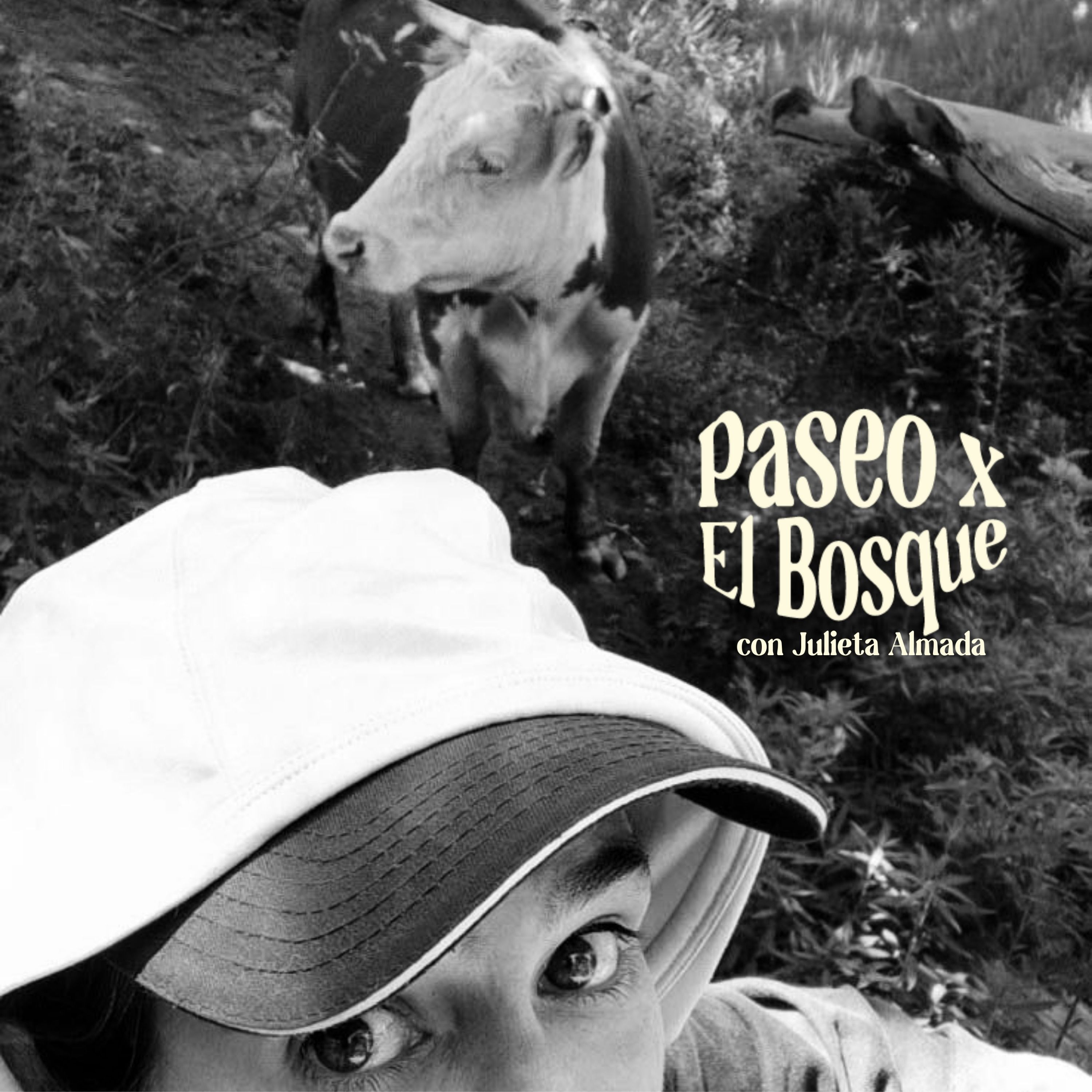 Portada de PASEO X EL BOSQUE