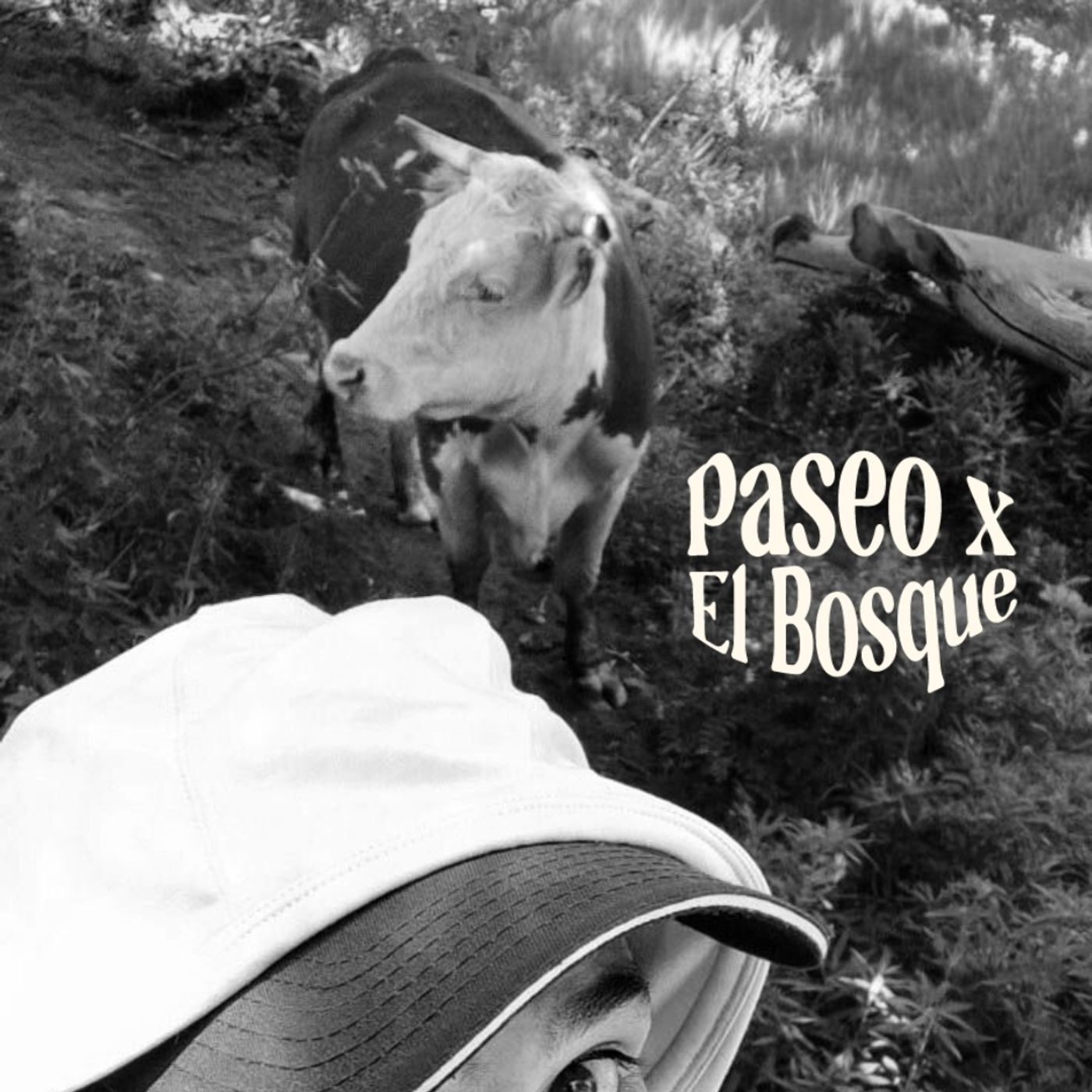 "La amistad que te salva"