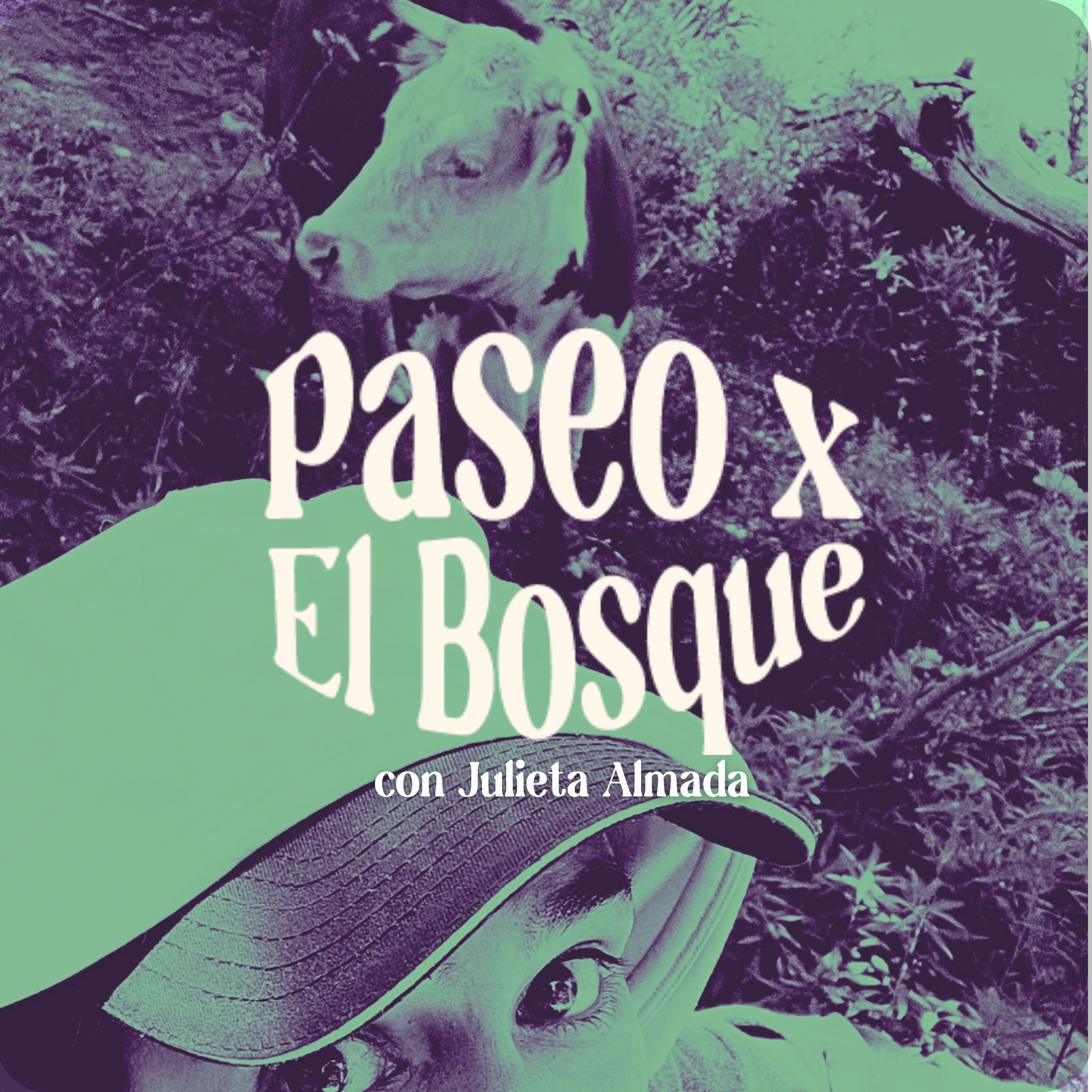 PASEO X EL BOSQUE