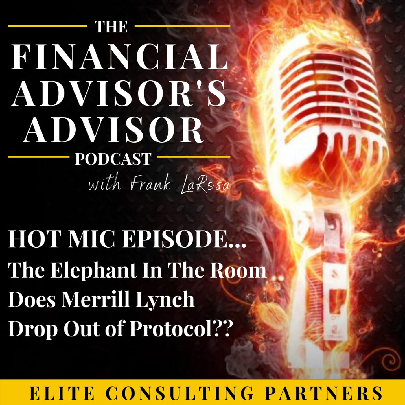 Hot Mic Episode: The Elephant In The room: Does Merrill Lynch Drop Out of Protocol?