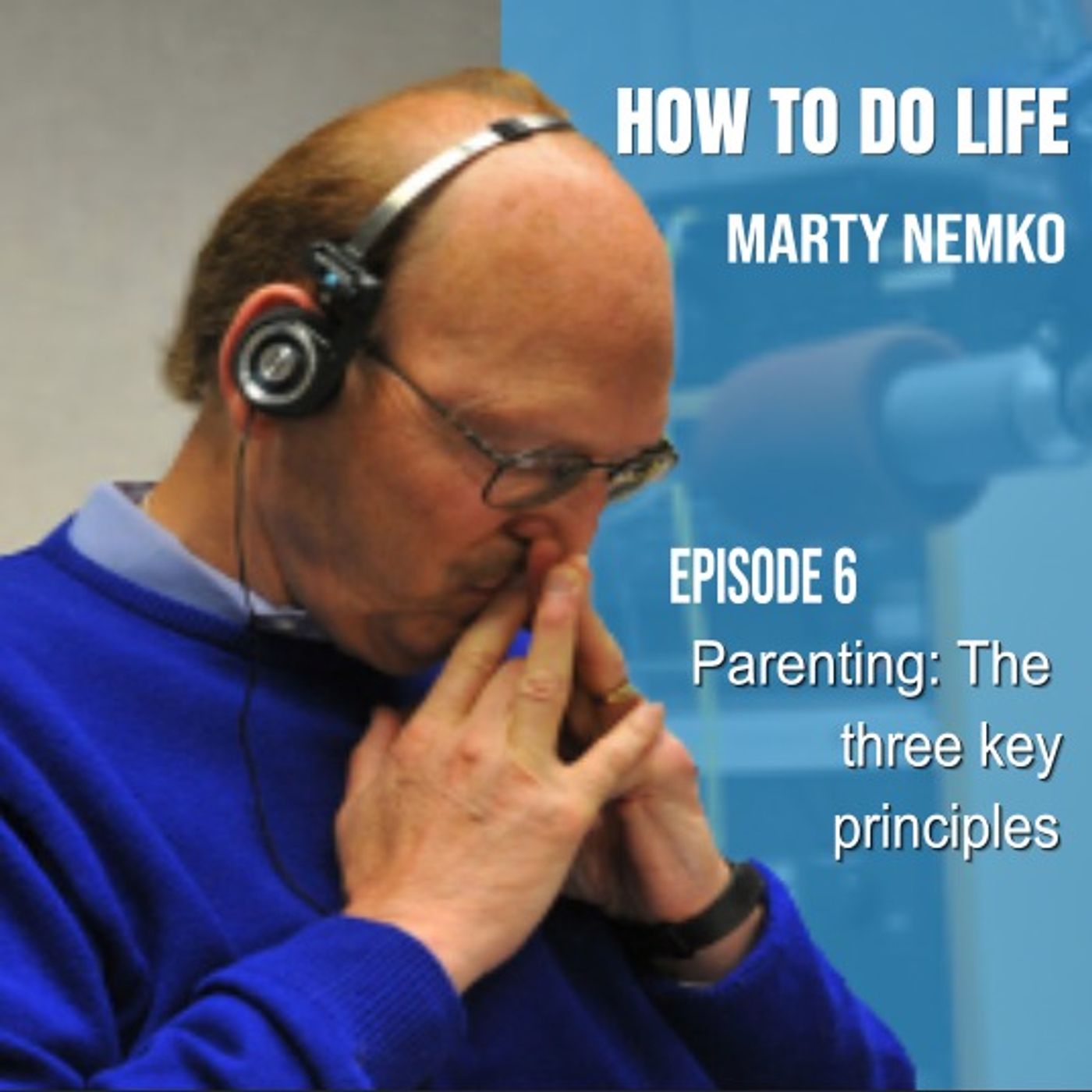 Parenting: The Three Key Principles episode artwork