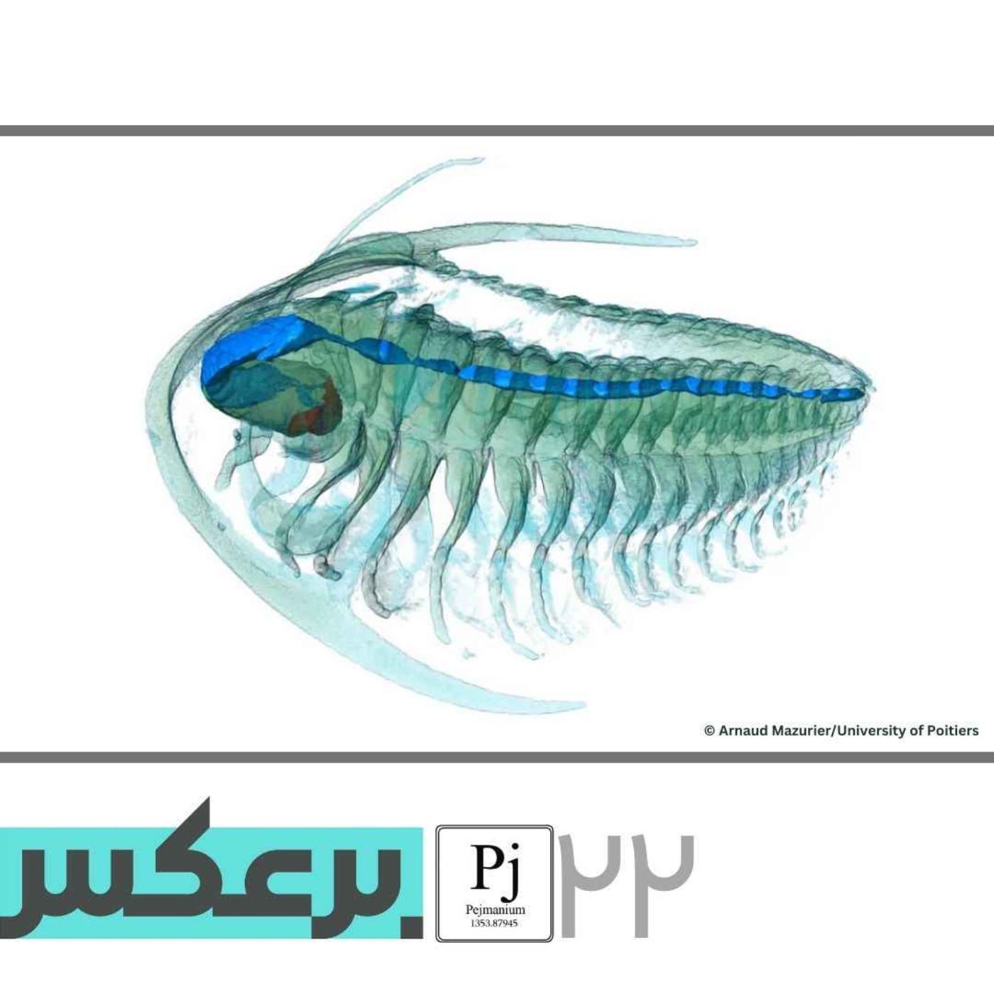 O.P.22