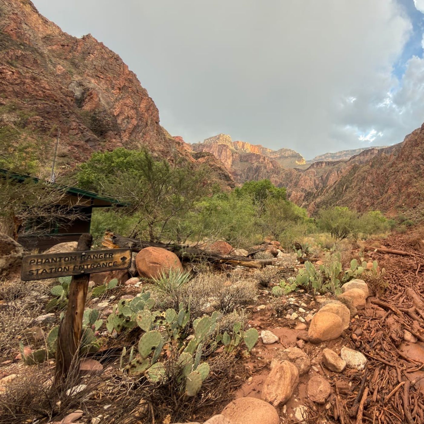 Grand Canyon Rescue Operations; How to Quell Settler Violence in the West Bank