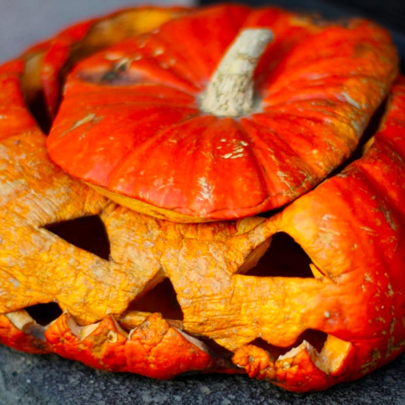 Rotting Stench Of Pumpkin Spice Rotting Stench Of Pumpkin Spice