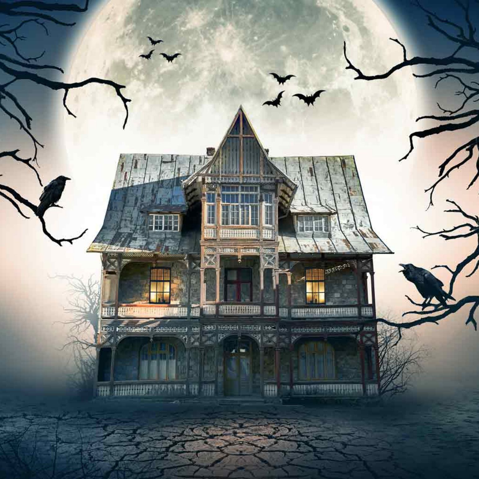 The Frightening Exciting Night In A Haunted House episode artwork