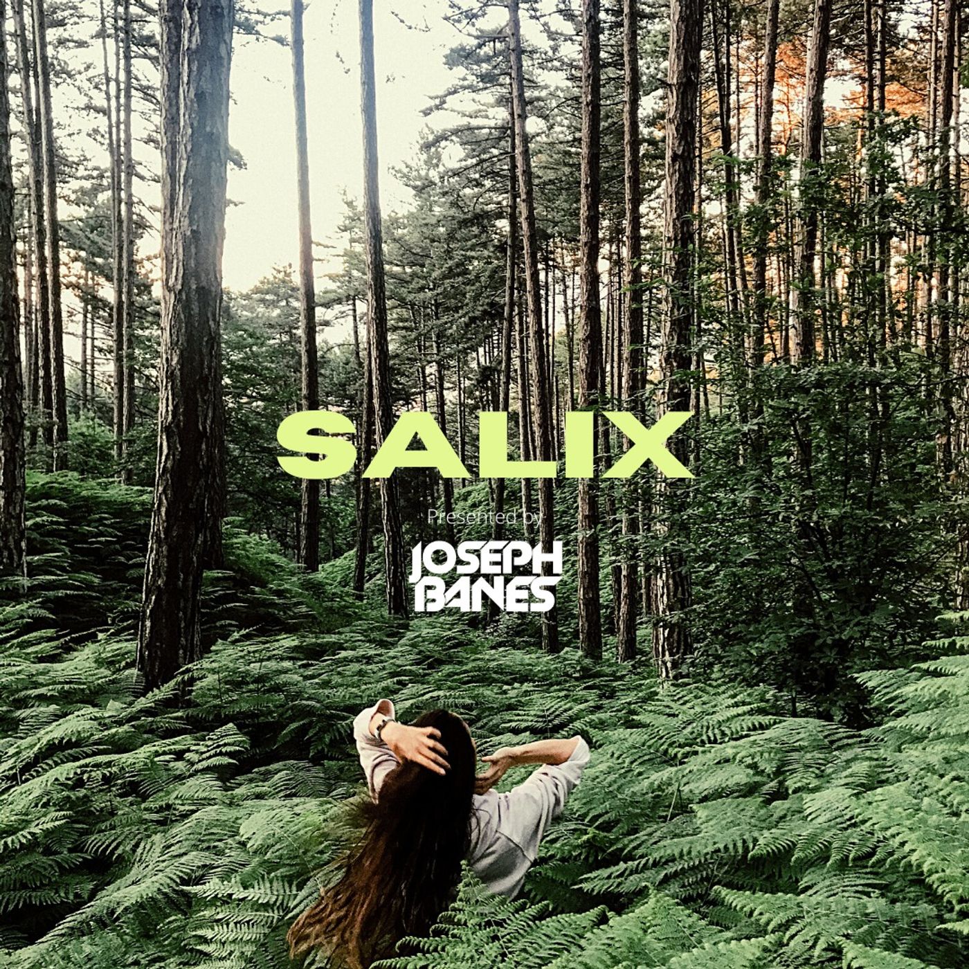 Salix episode artwork