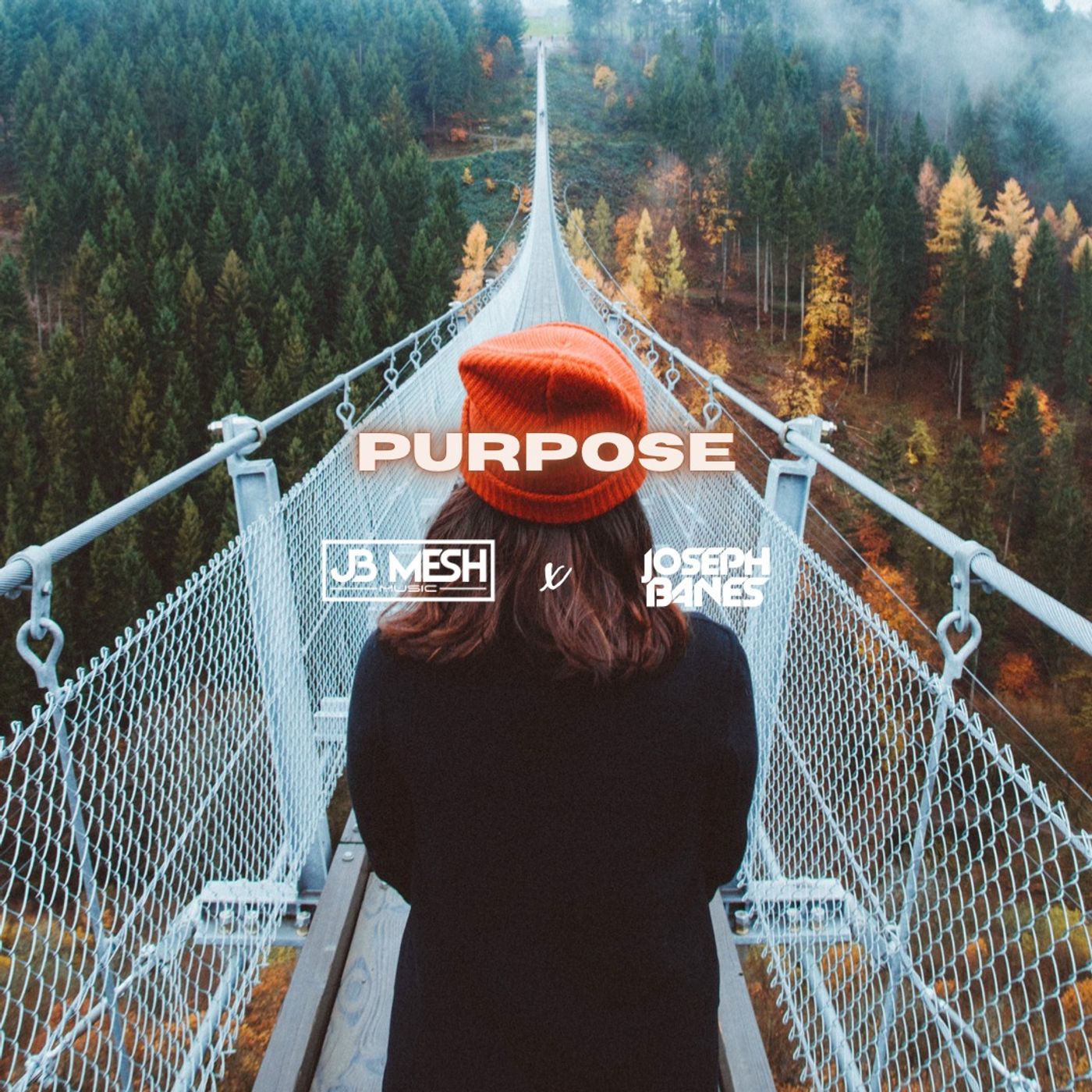 Purpose episode artwork