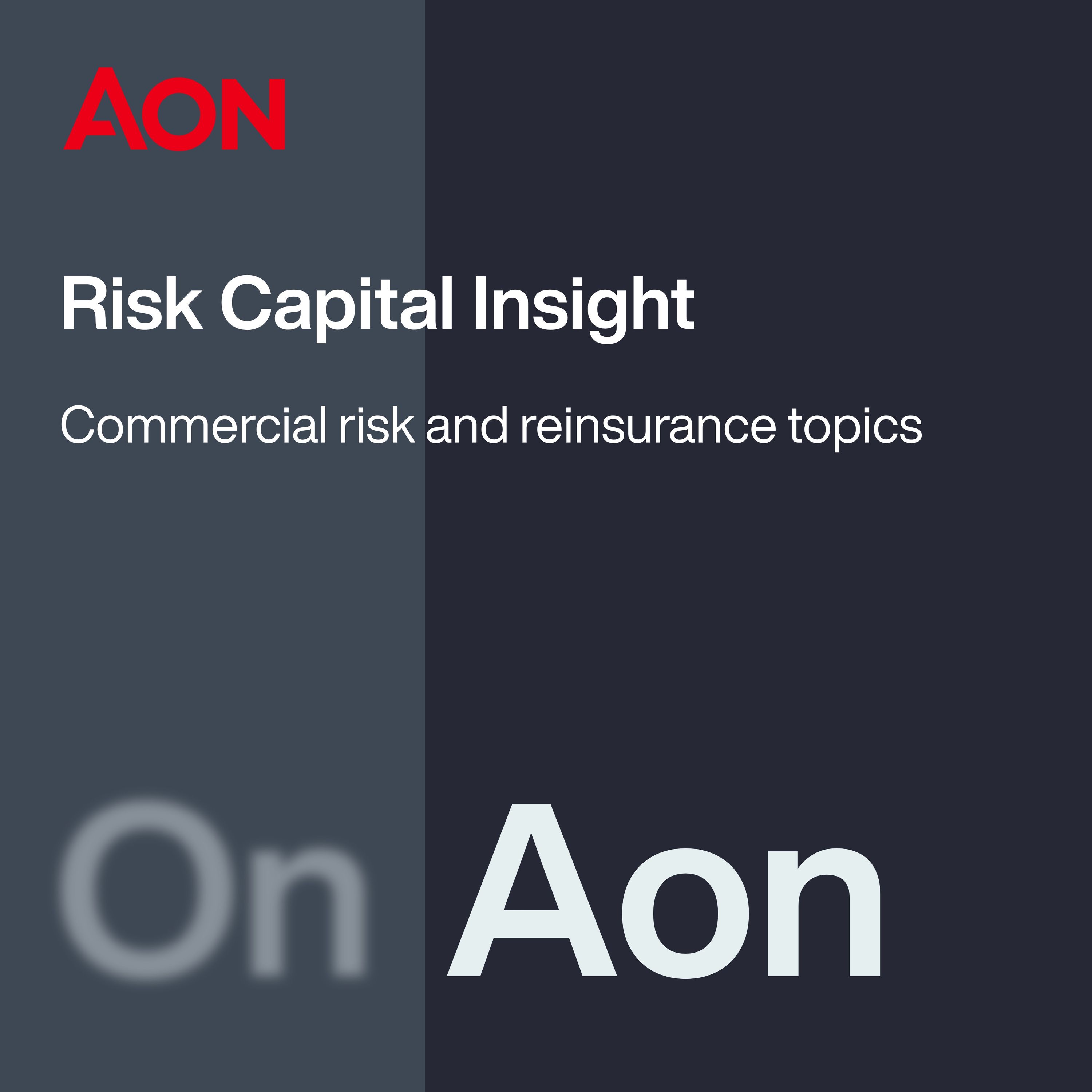 The New Risk Capital Playbook for Today’s Business Leaders