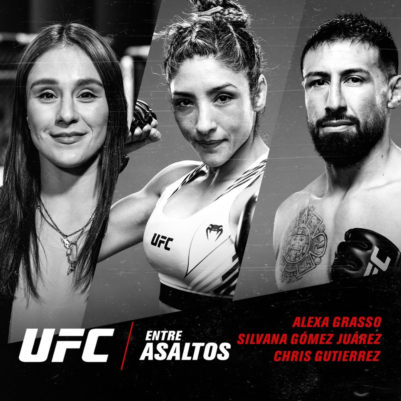 UFC Entre Asaltos