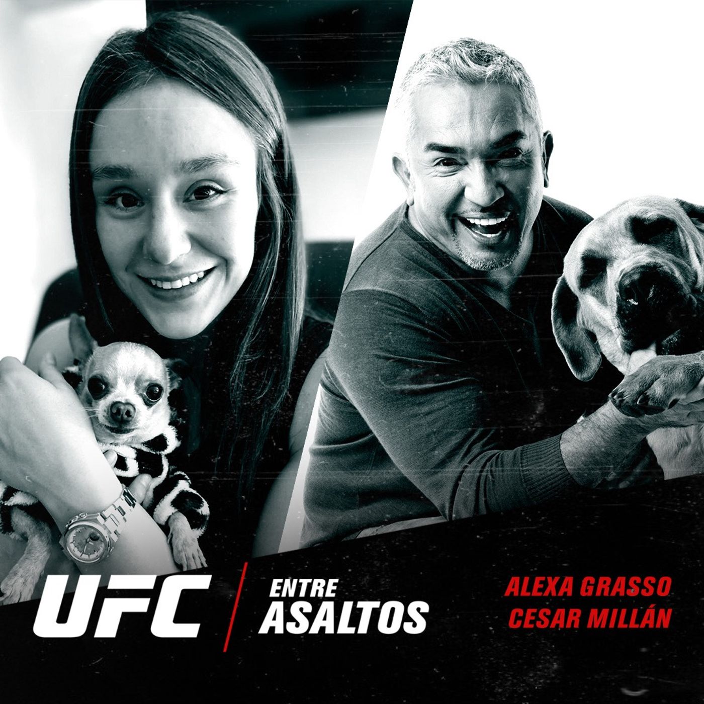 UFC Entre Asaltos