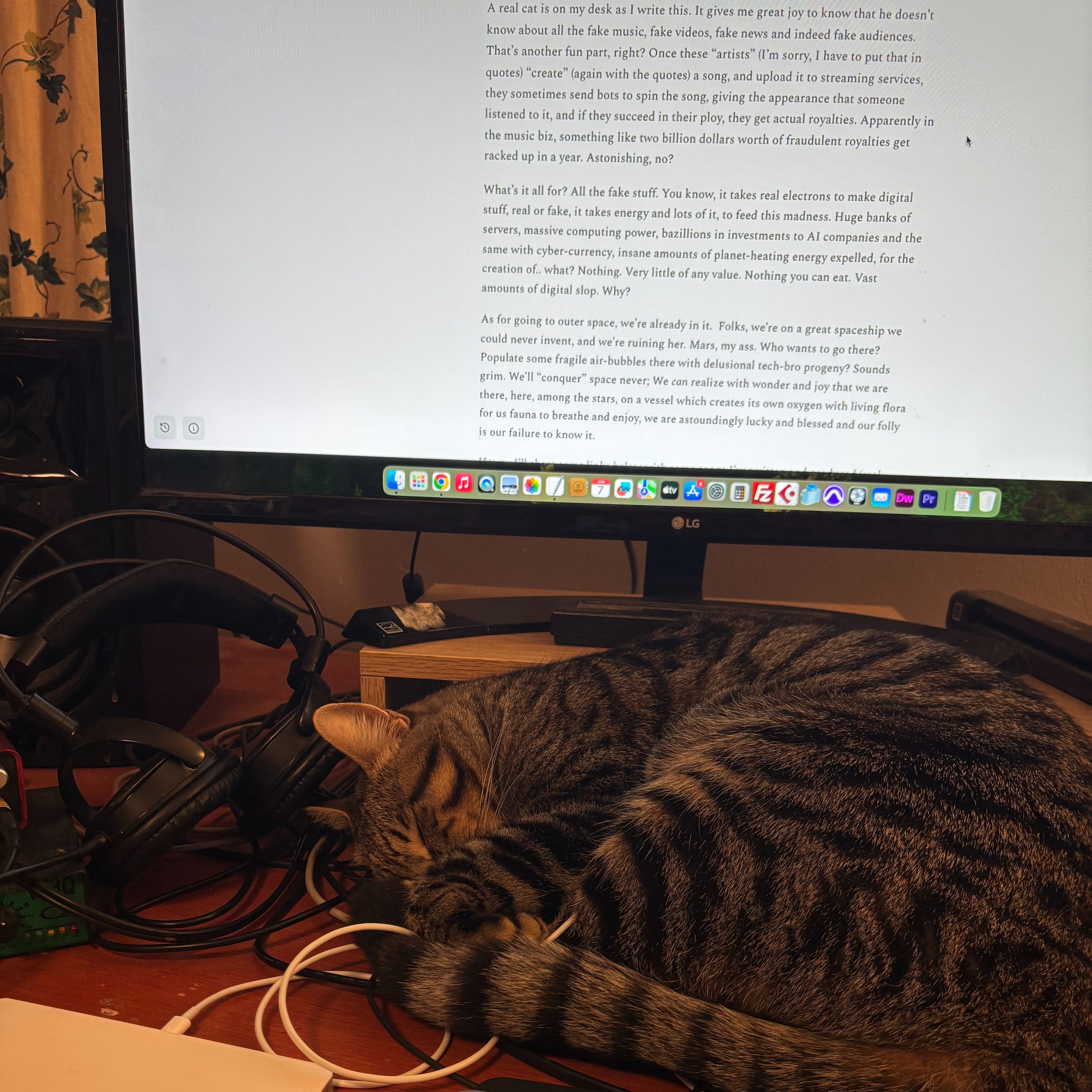 Of Real Things and Fake Things and Madison Avenue Cats