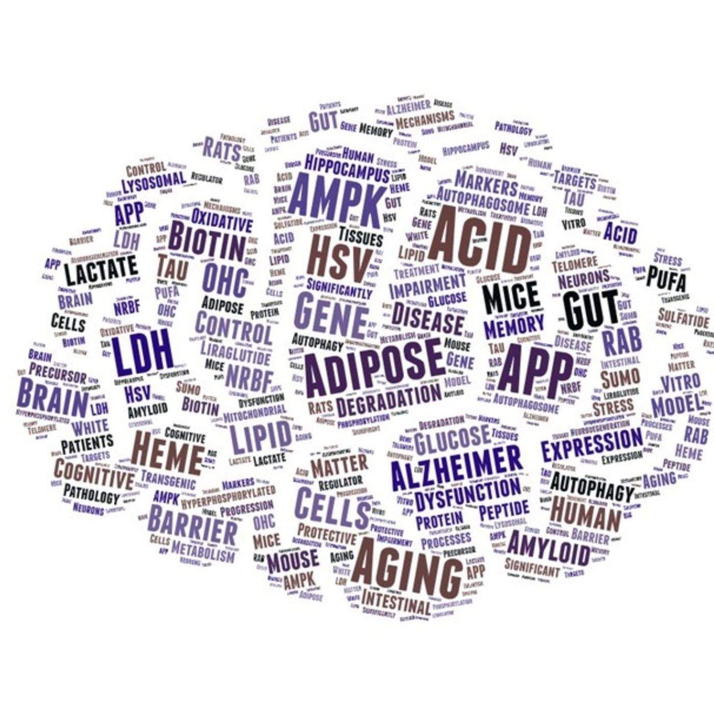 AMiNDR: A Month in Neurodegenerative Disease Research