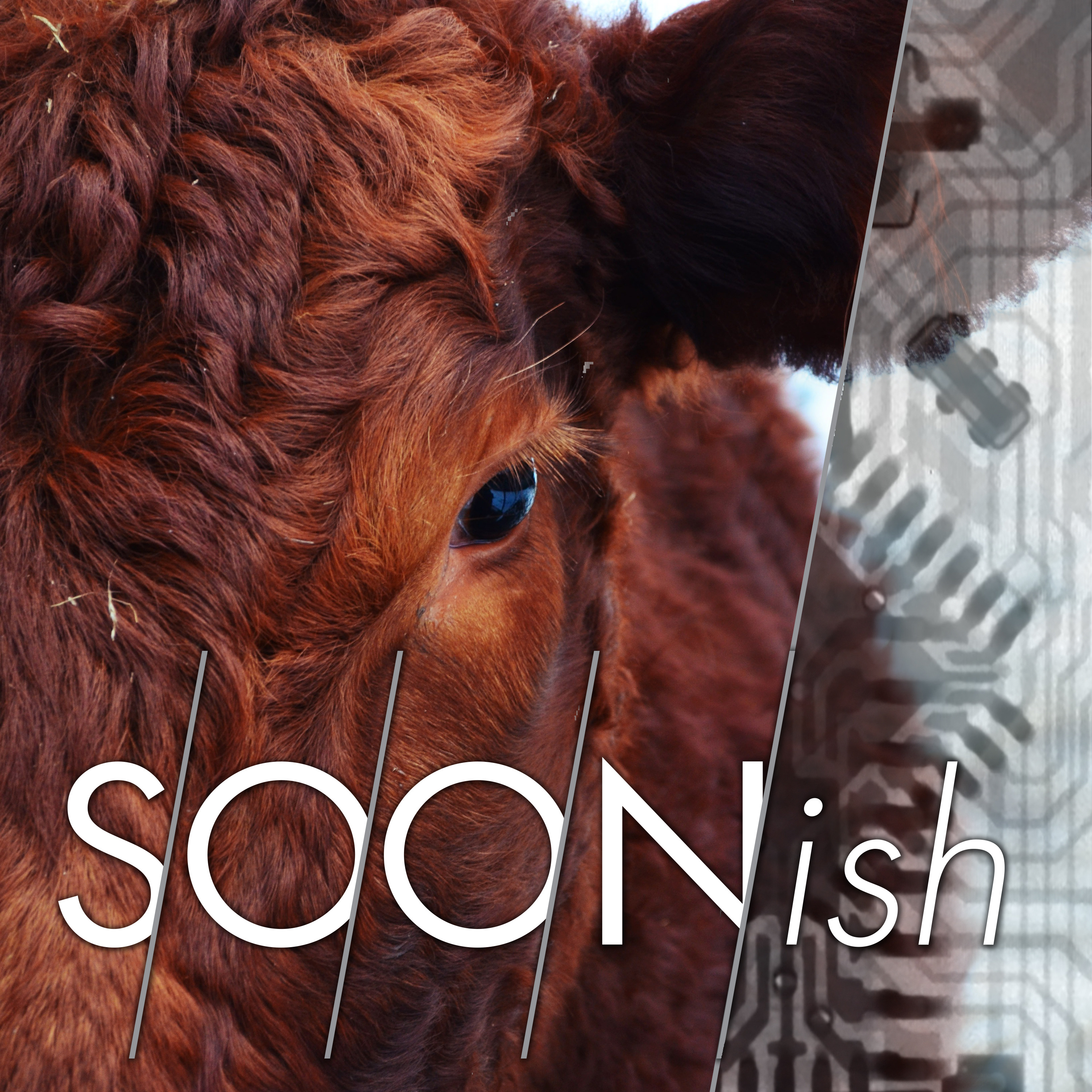 Soonish