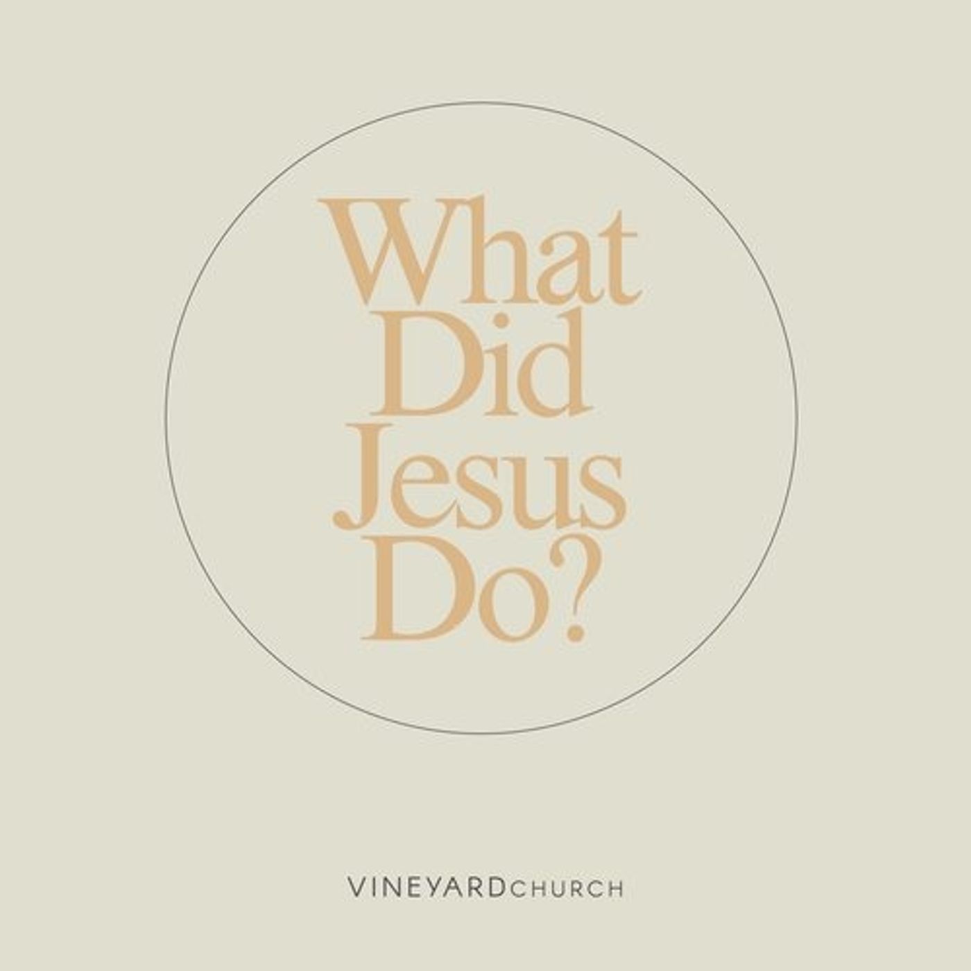 Include the Outsider : What Did Jesus Do? episode artwork