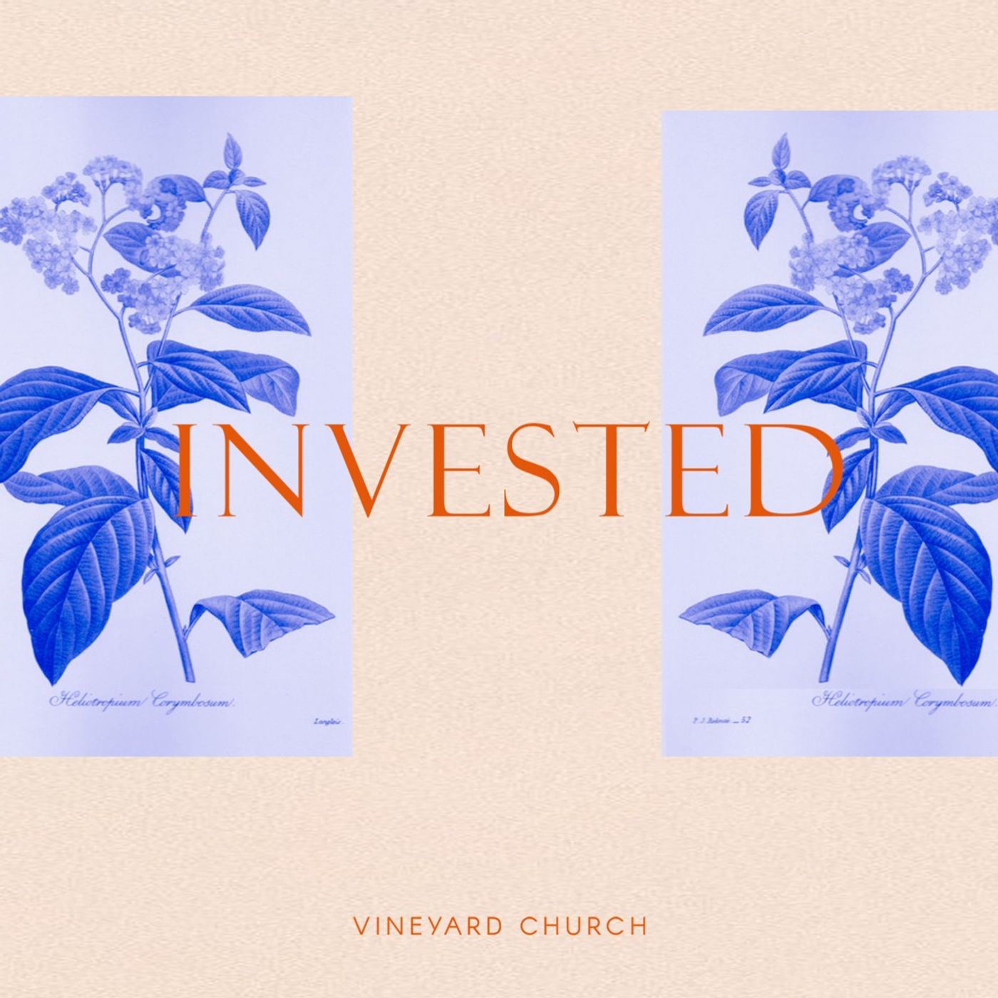 Who Am I : Invested episode artwork